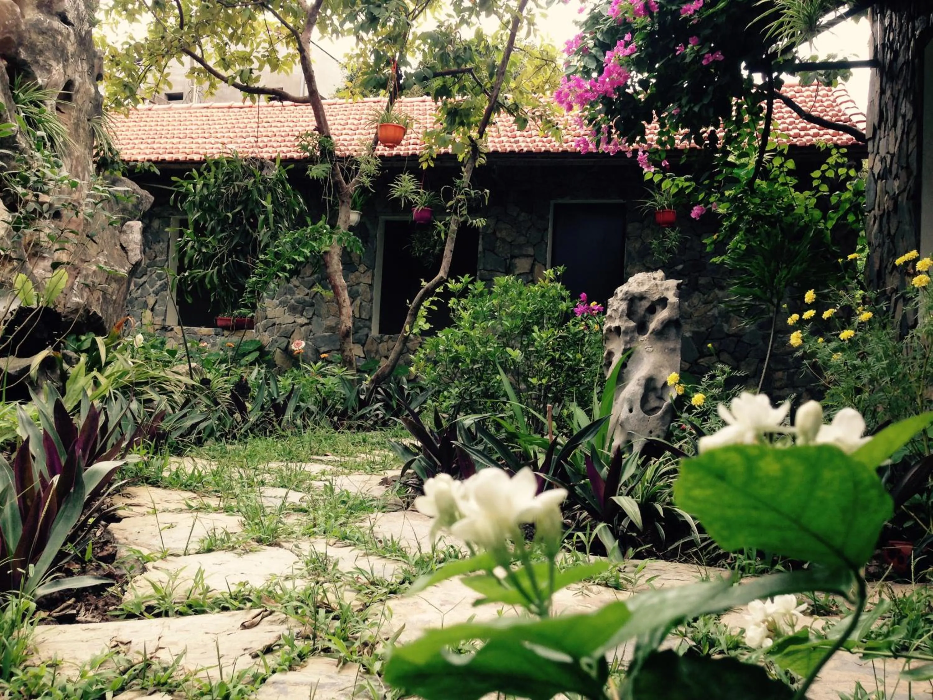 Mr. Viet home stay