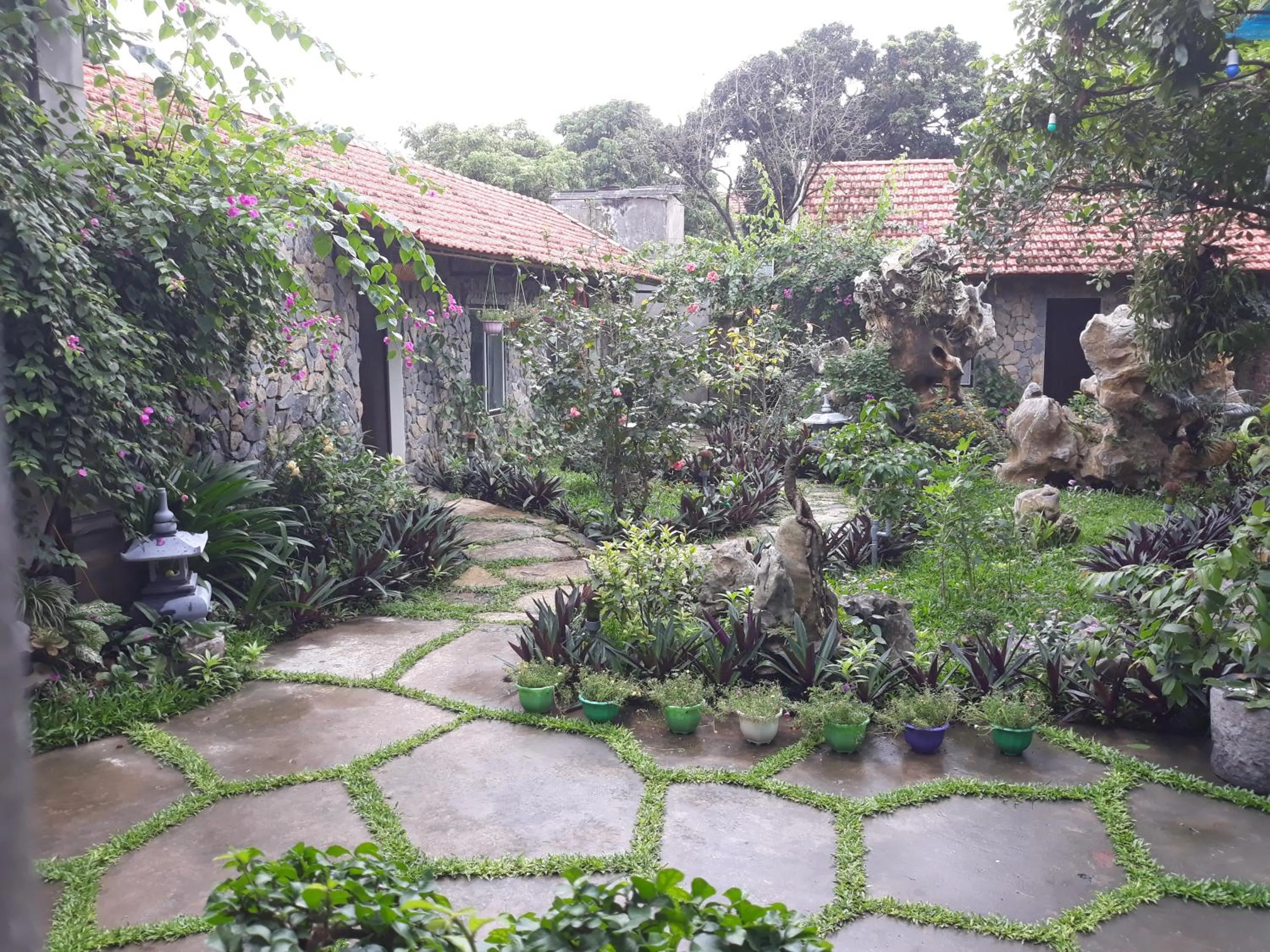 Mr. Viet home stay