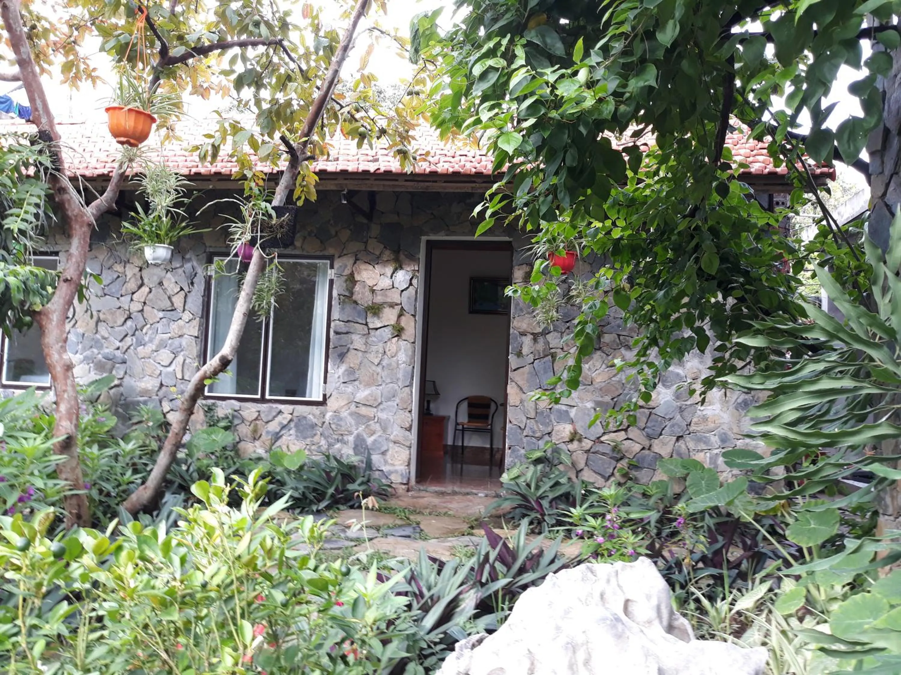 Mr. Viet home stay