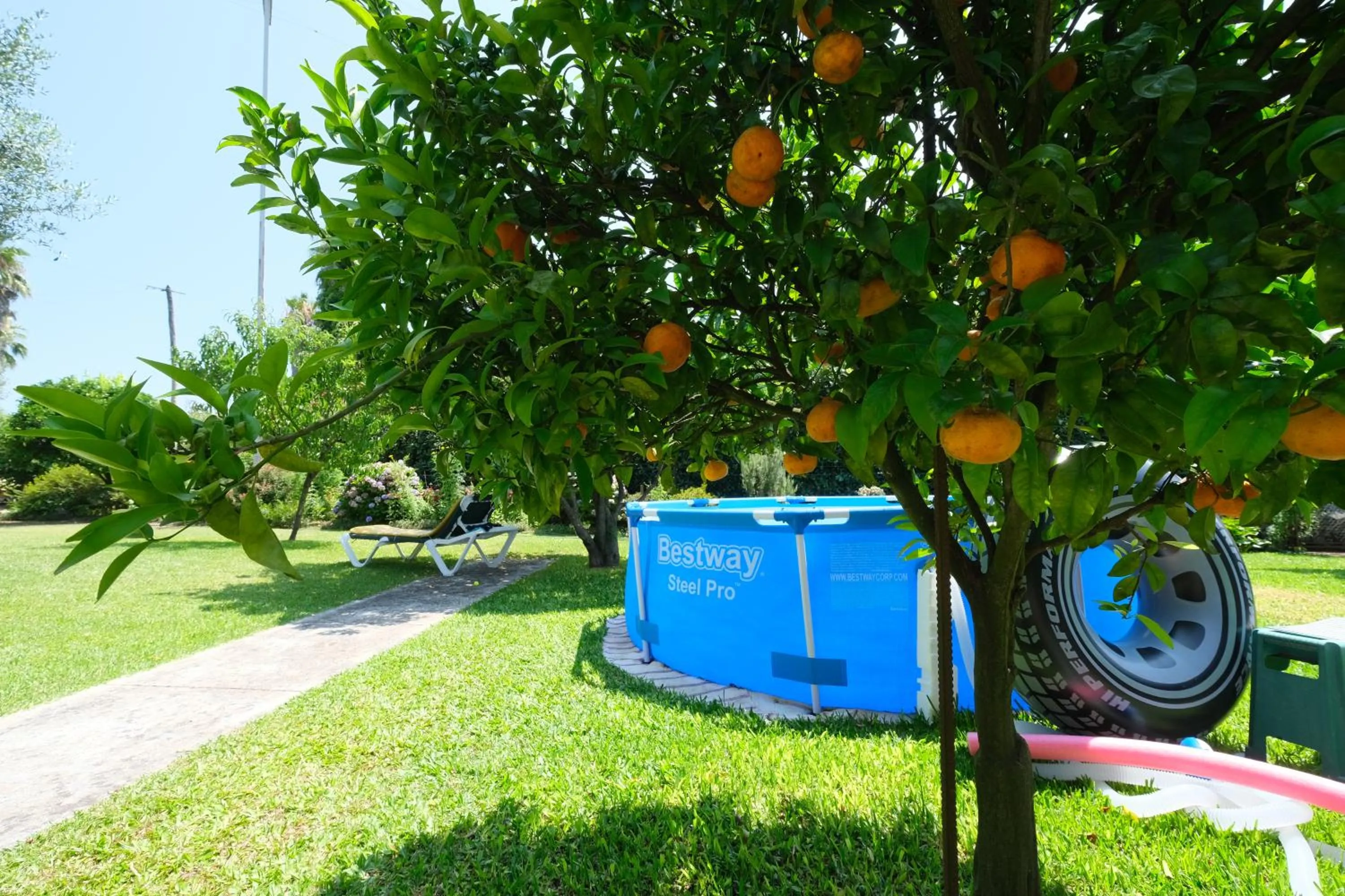 Natural landscape in Quintinha d´Avó