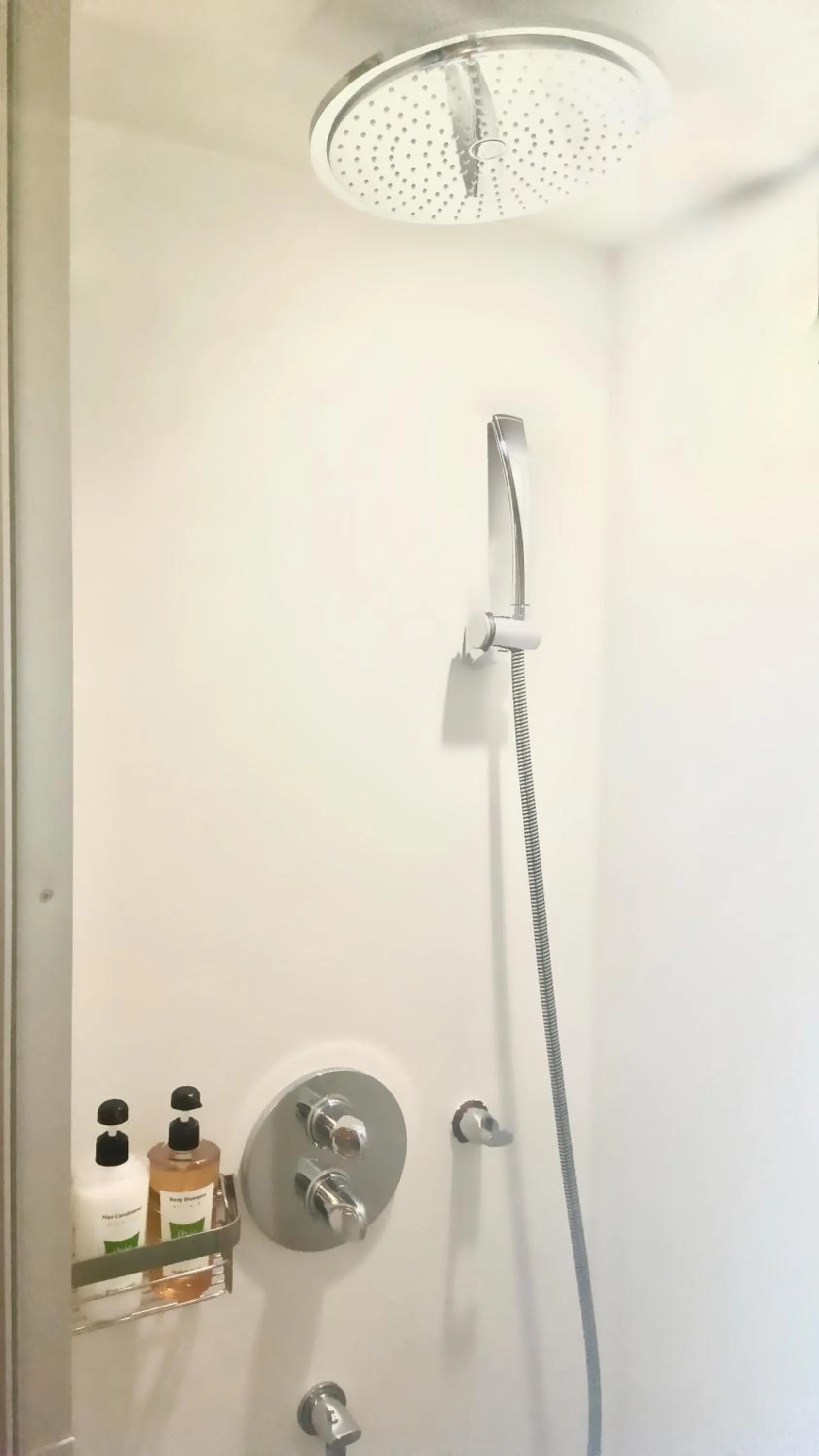 Shower in ibis Styles Tokyo Bay