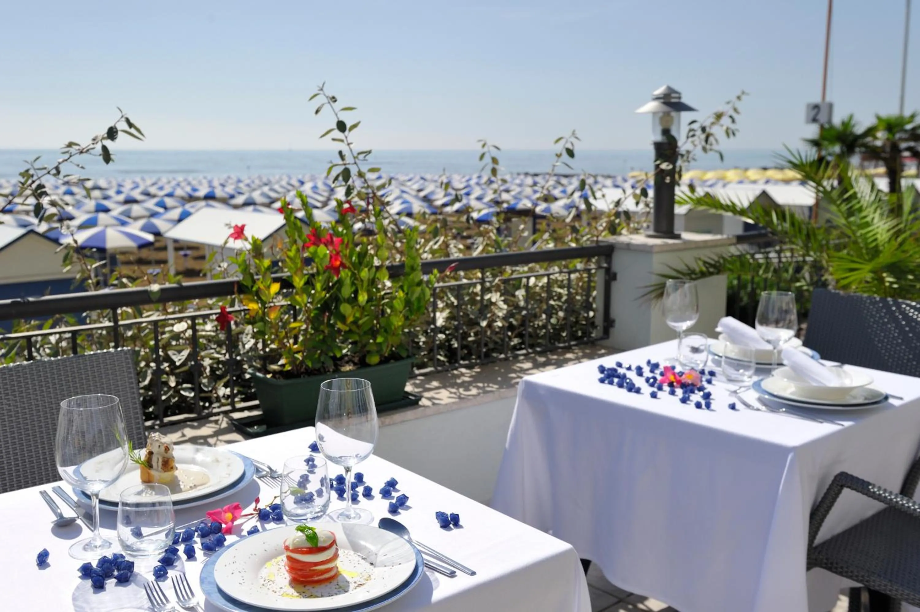 Restaurant/places to eat in Hotel Nettuno