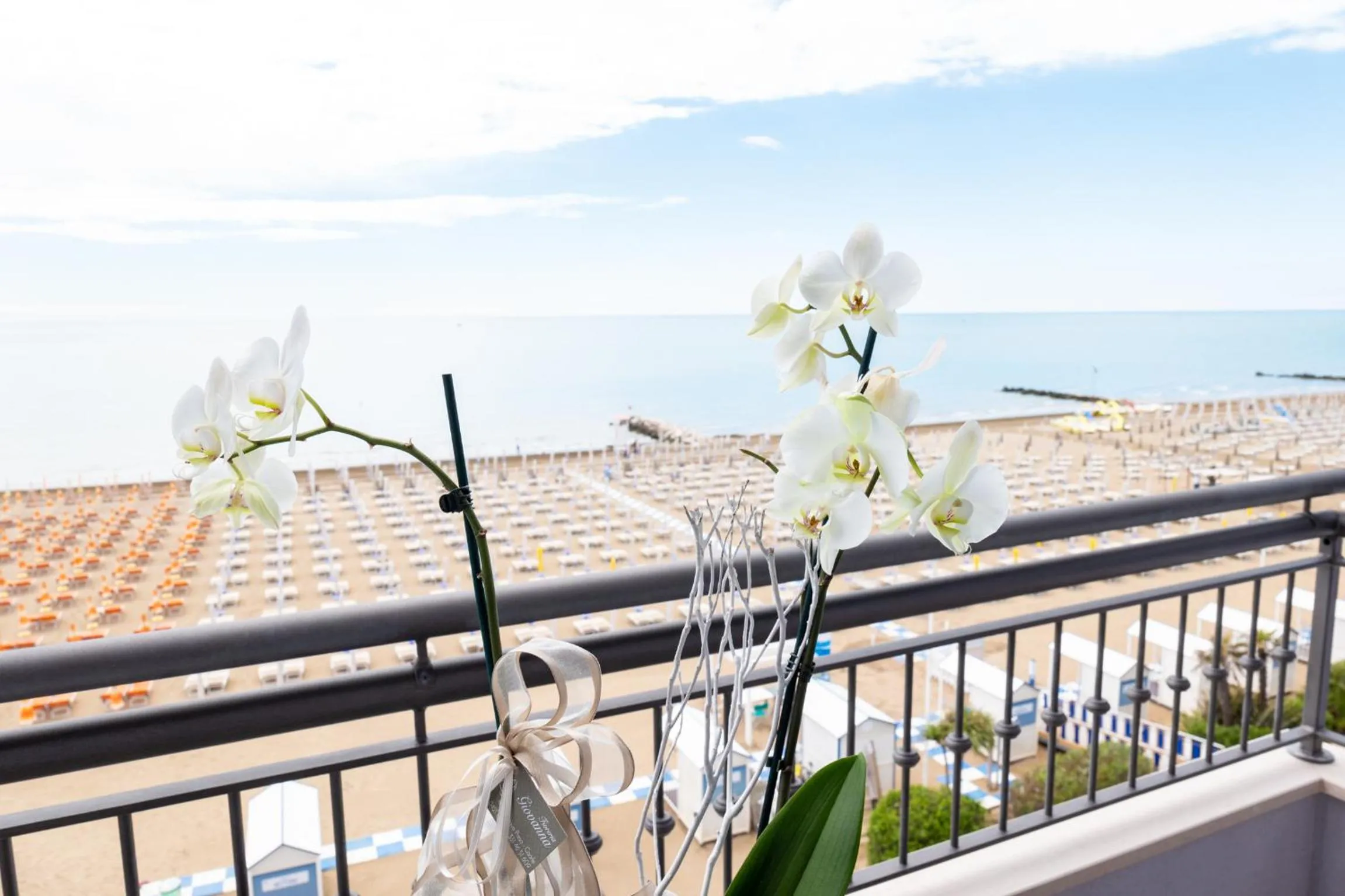 Hotel Nettuno