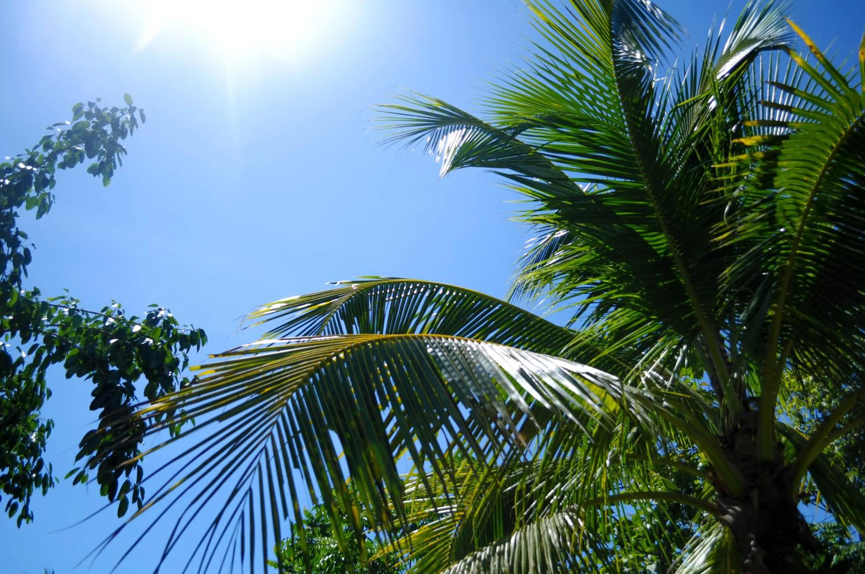 Garden view in Pai Iyara Resort
