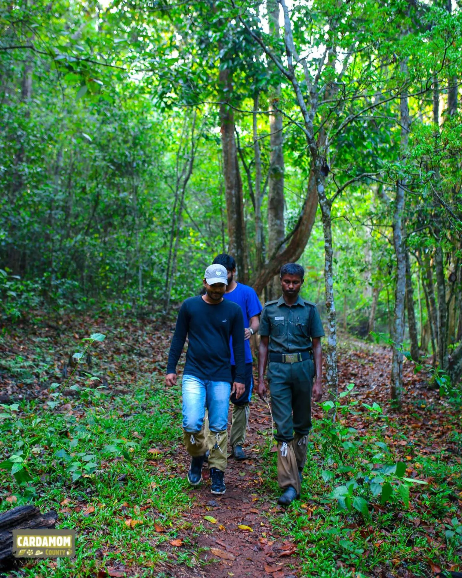 Activities in Cardamom County by Xandari