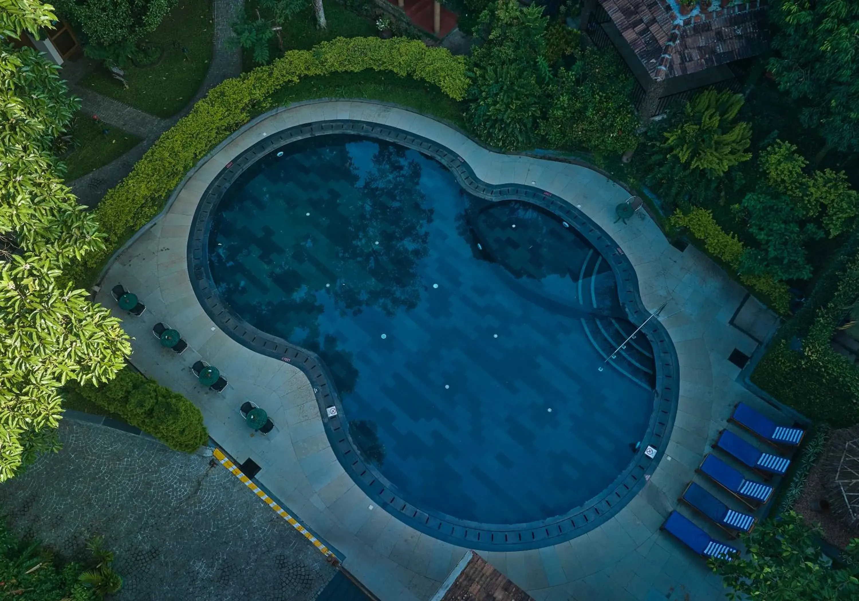 Pool view in Cardamom County by Xandari Pool view in Cardamom County by Xandari