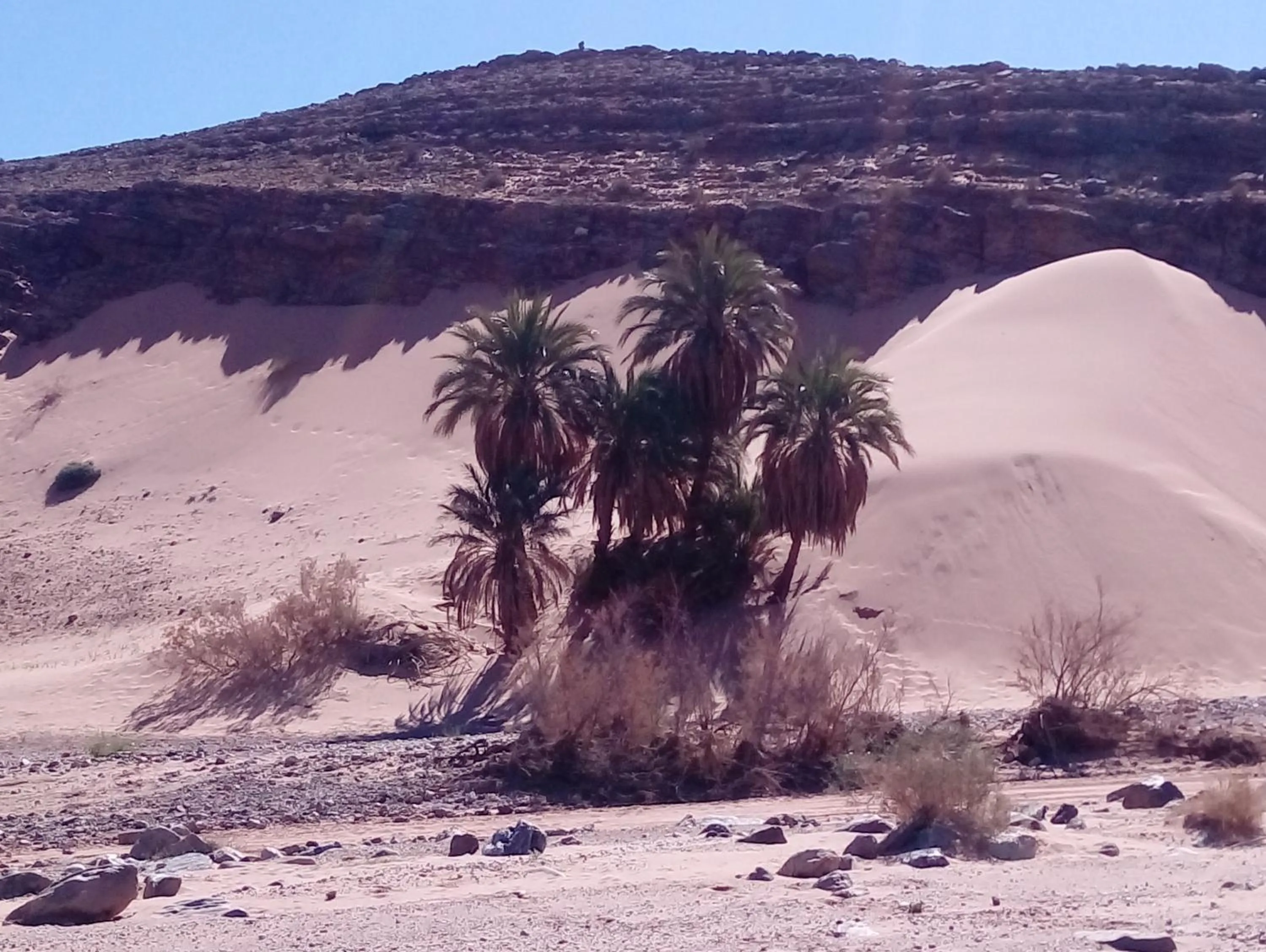 Nearby landmark in La Vallée des Dunes - Auberge, randonnées et circuits