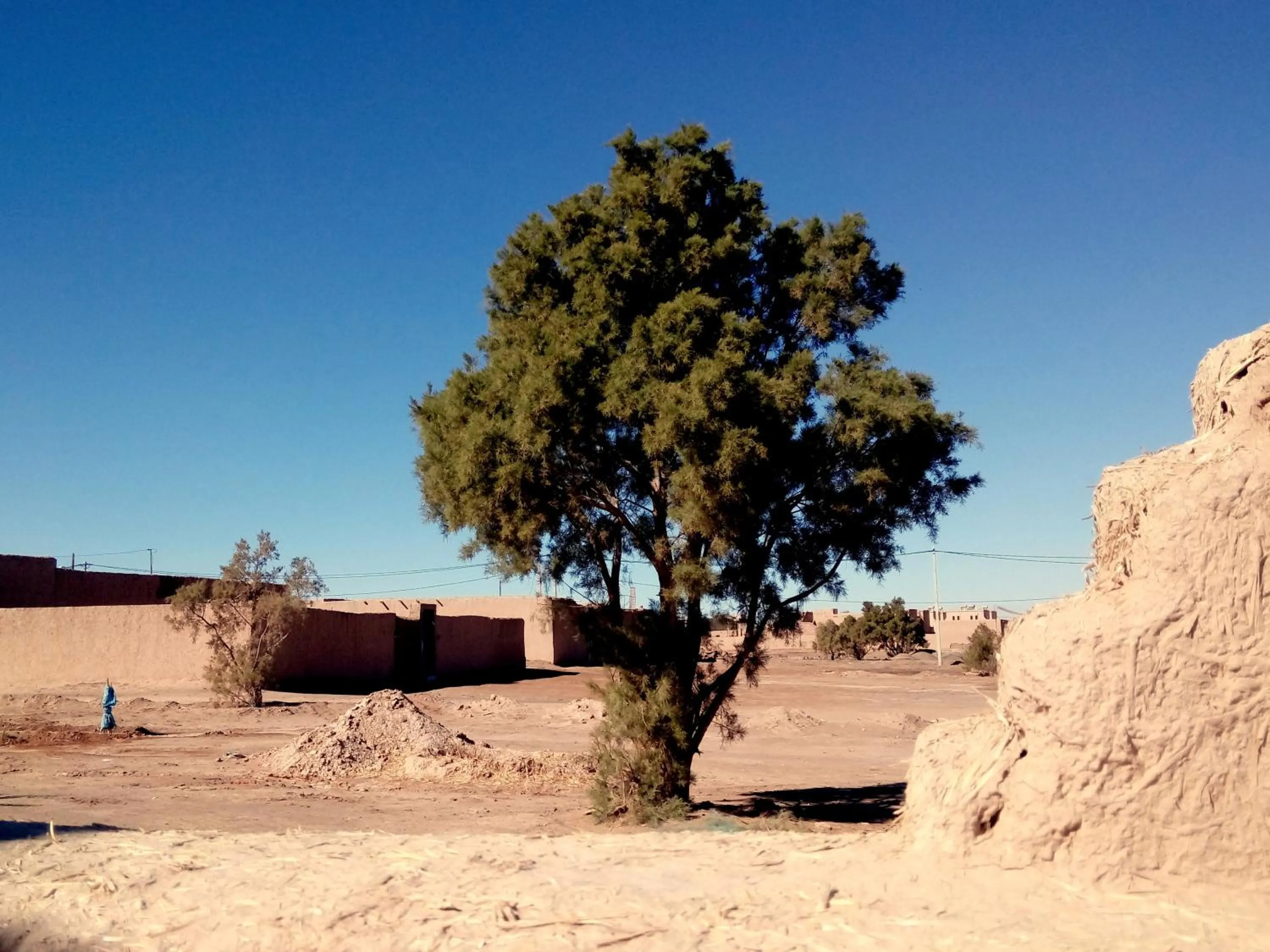 View (from property/room) in La Vallée des Dunes - Auberge, randonnées et circuits
