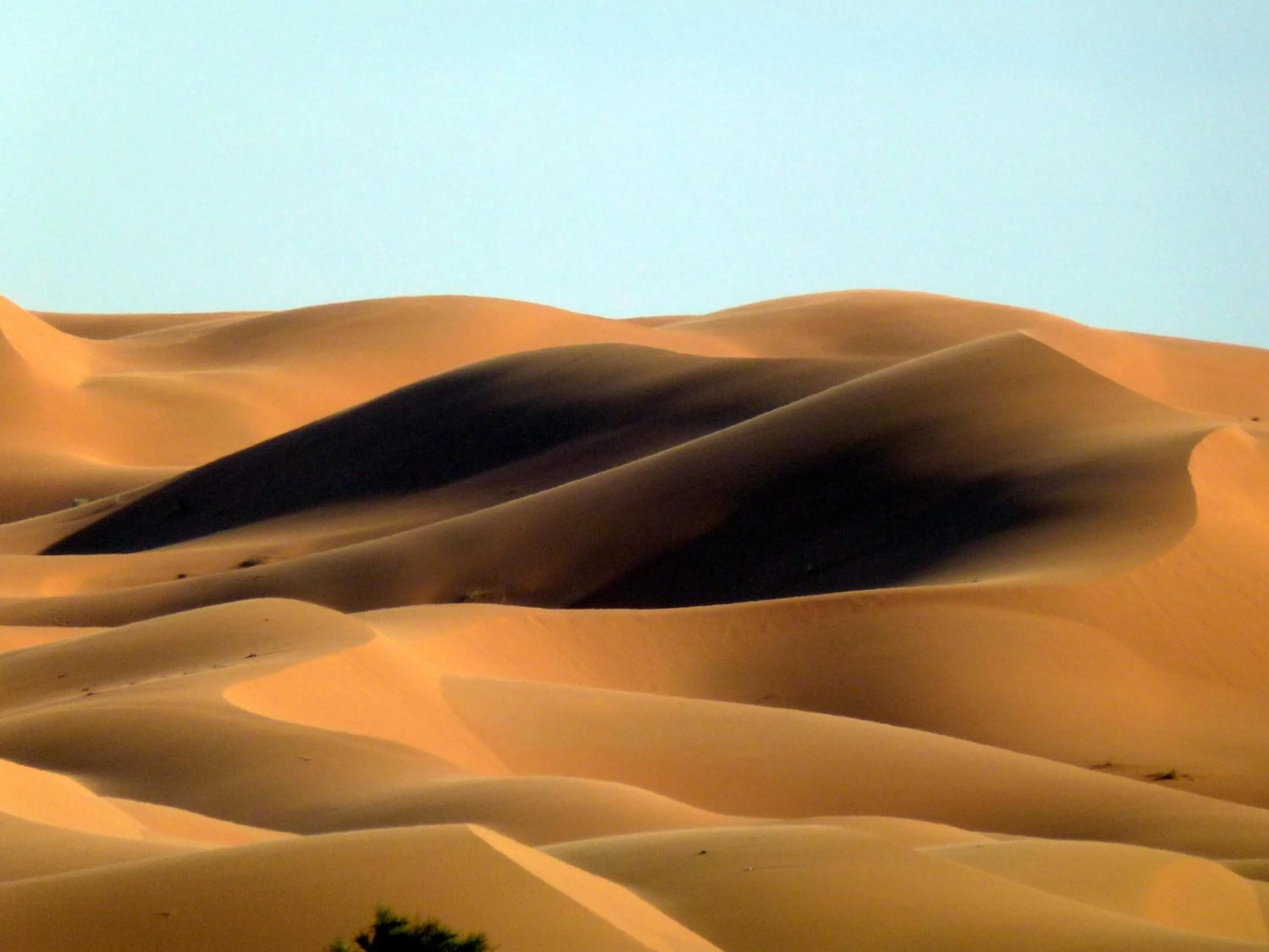 Area and facilities in La Vallée des Dunes - Auberge, randonnées et circuits