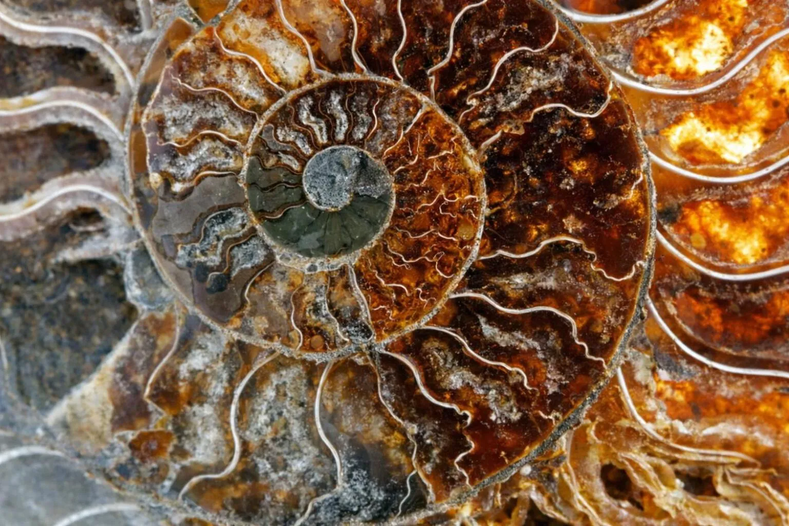 Other in La Vallée des Dunes - Auberge, randonnées et circuits