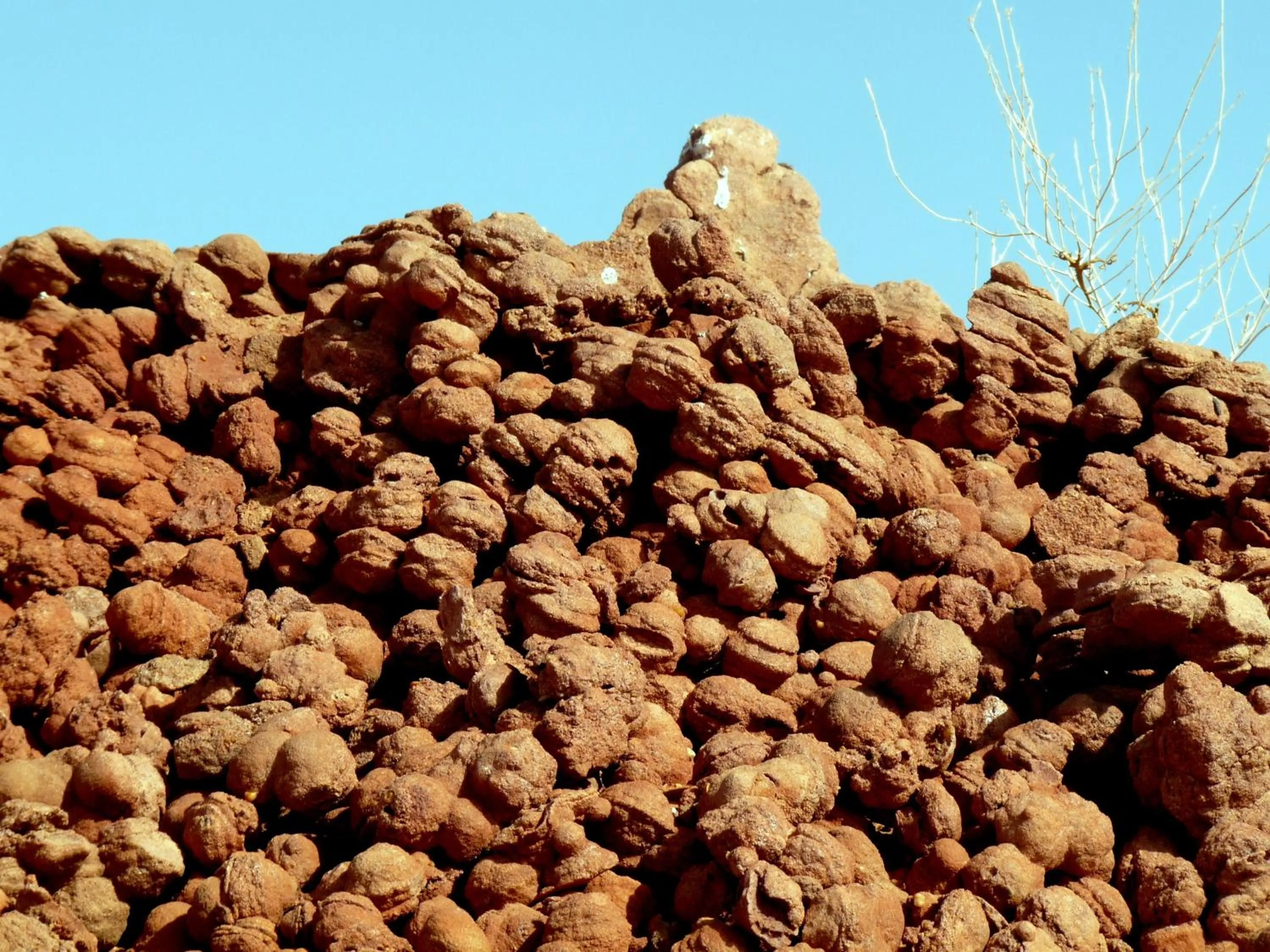 Natural landscape in La Vallée des Dunes - Auberge, randonnées et circuits