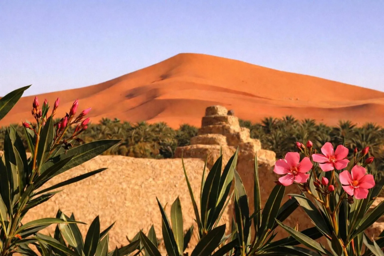View (from property/room) in La Vallée des Dunes - Auberge, randonnées et circuits