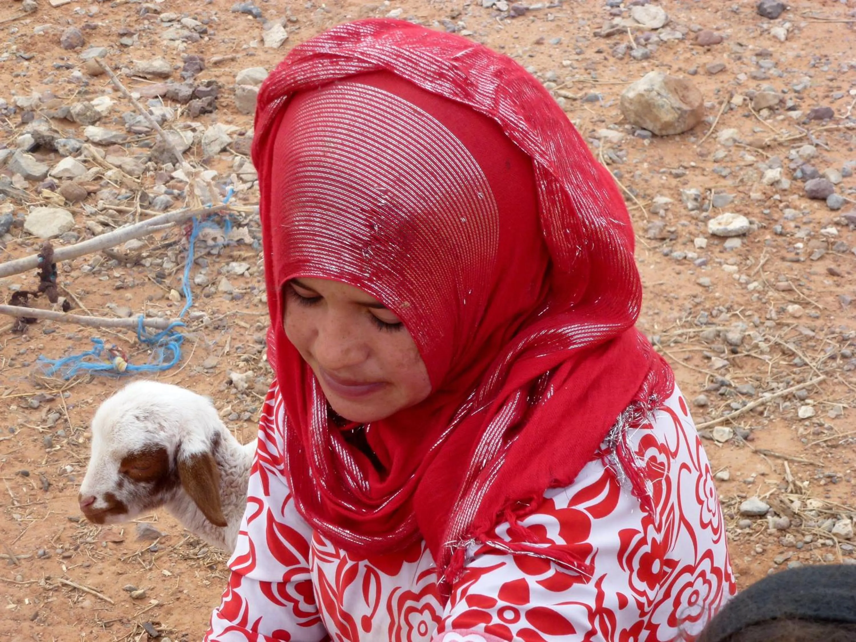 Other in La Vallée des Dunes - Auberge, randonnées et circuits