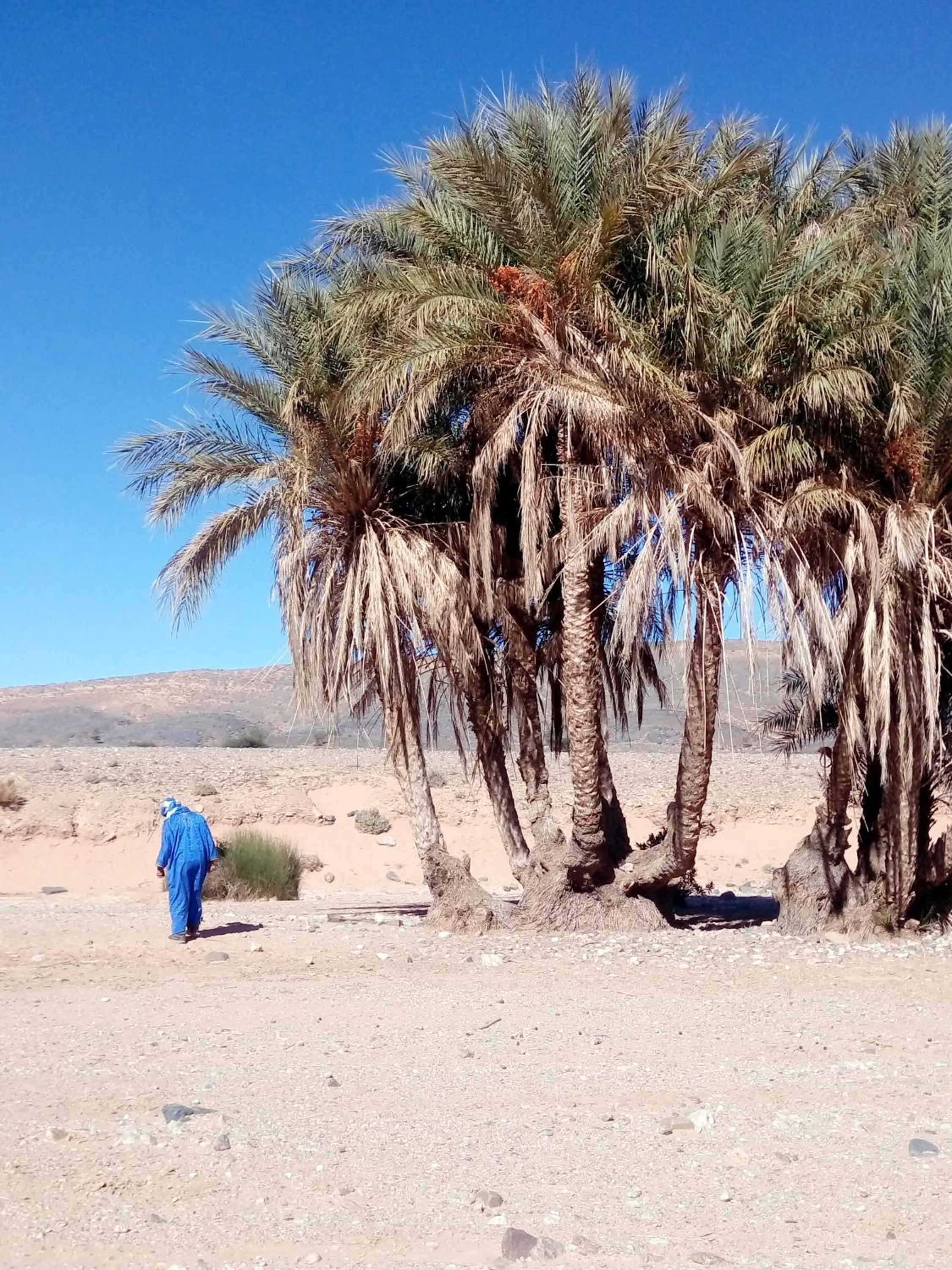 Nearby landmark in La Vallée des Dunes - Auberge, randonnées et circuits
