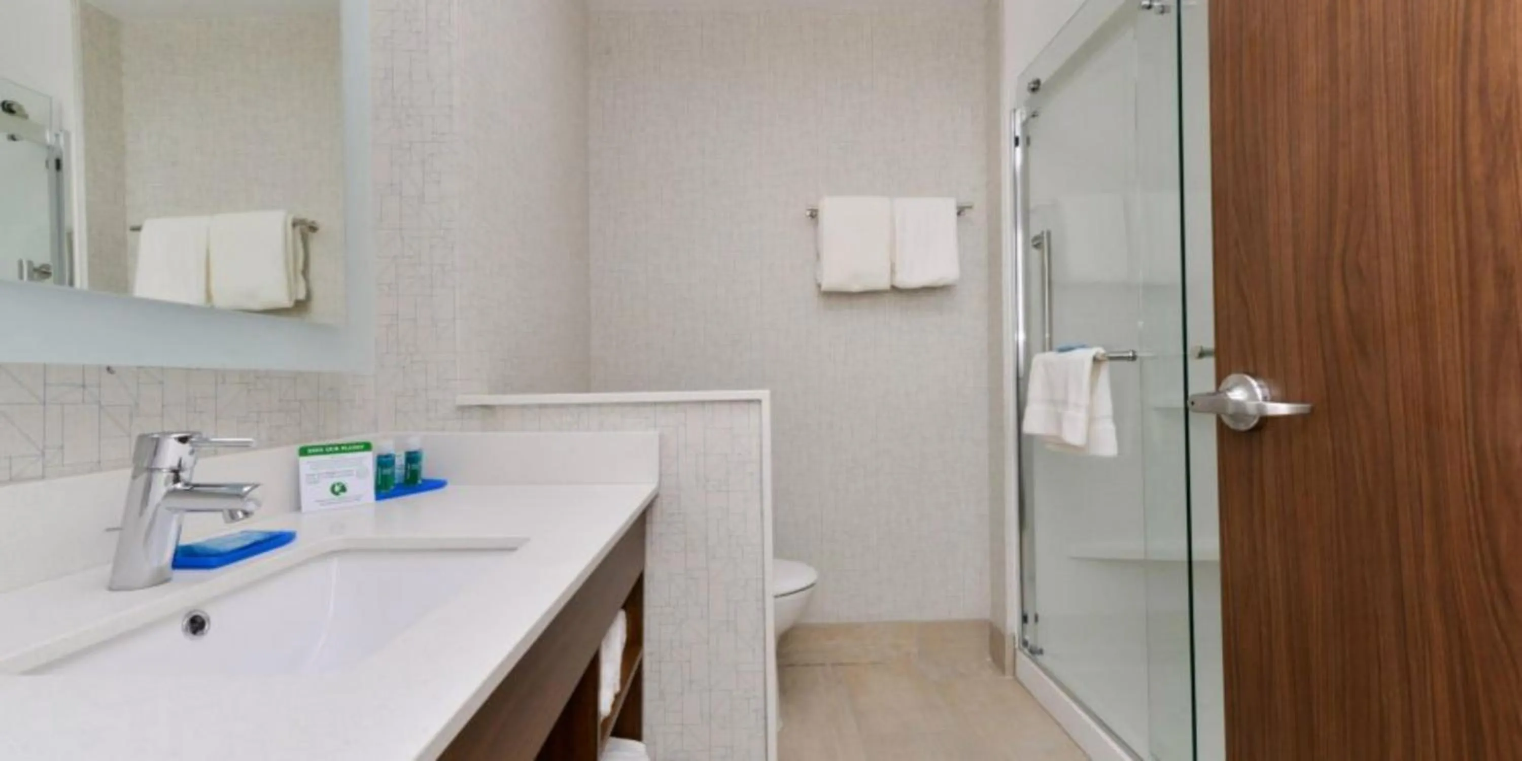 Bathroom in Holiday Inn Express - Alliance by IHG