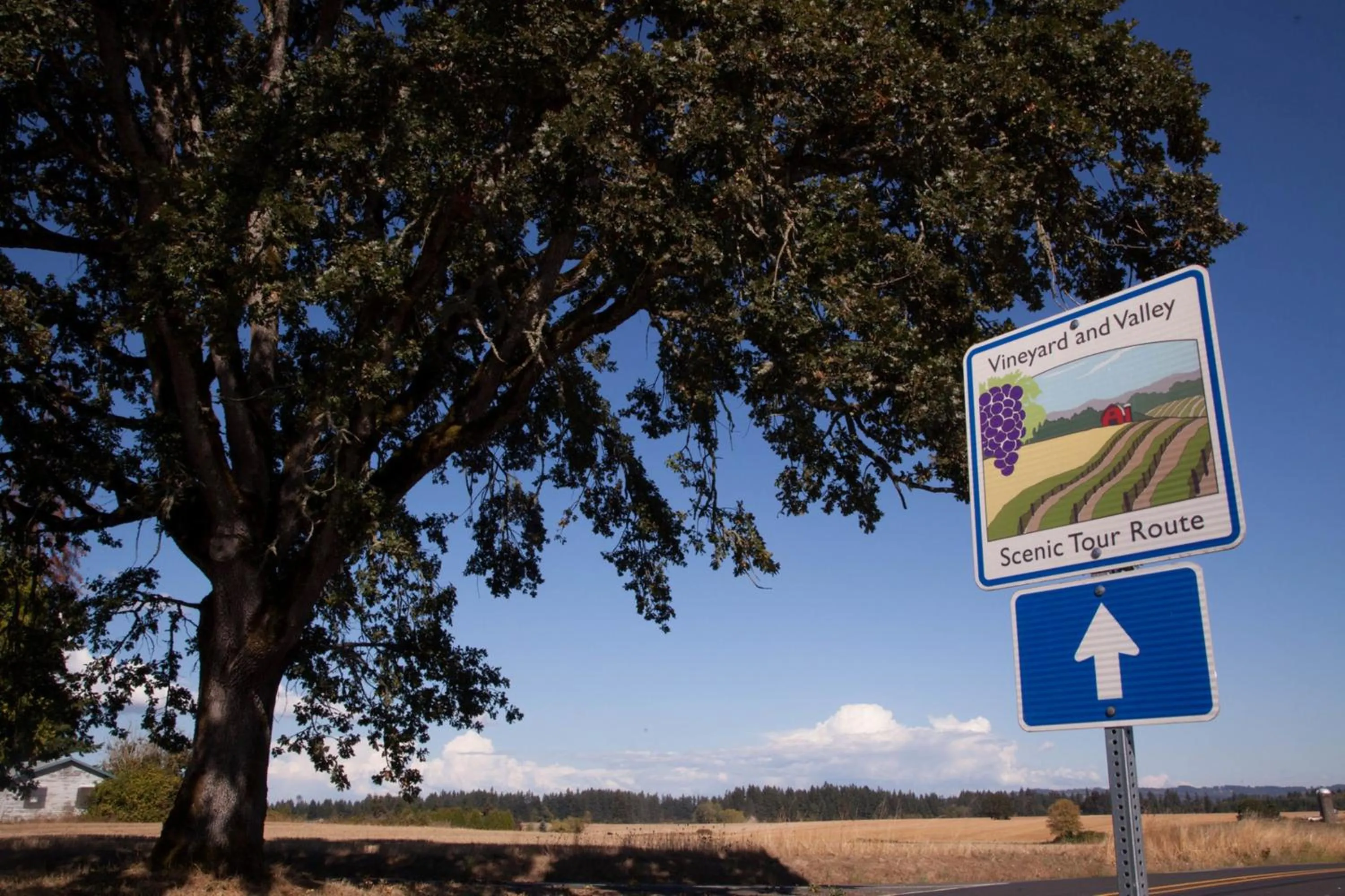 Area and facilities in Staybridge Suites - Hillsboro North by IHG