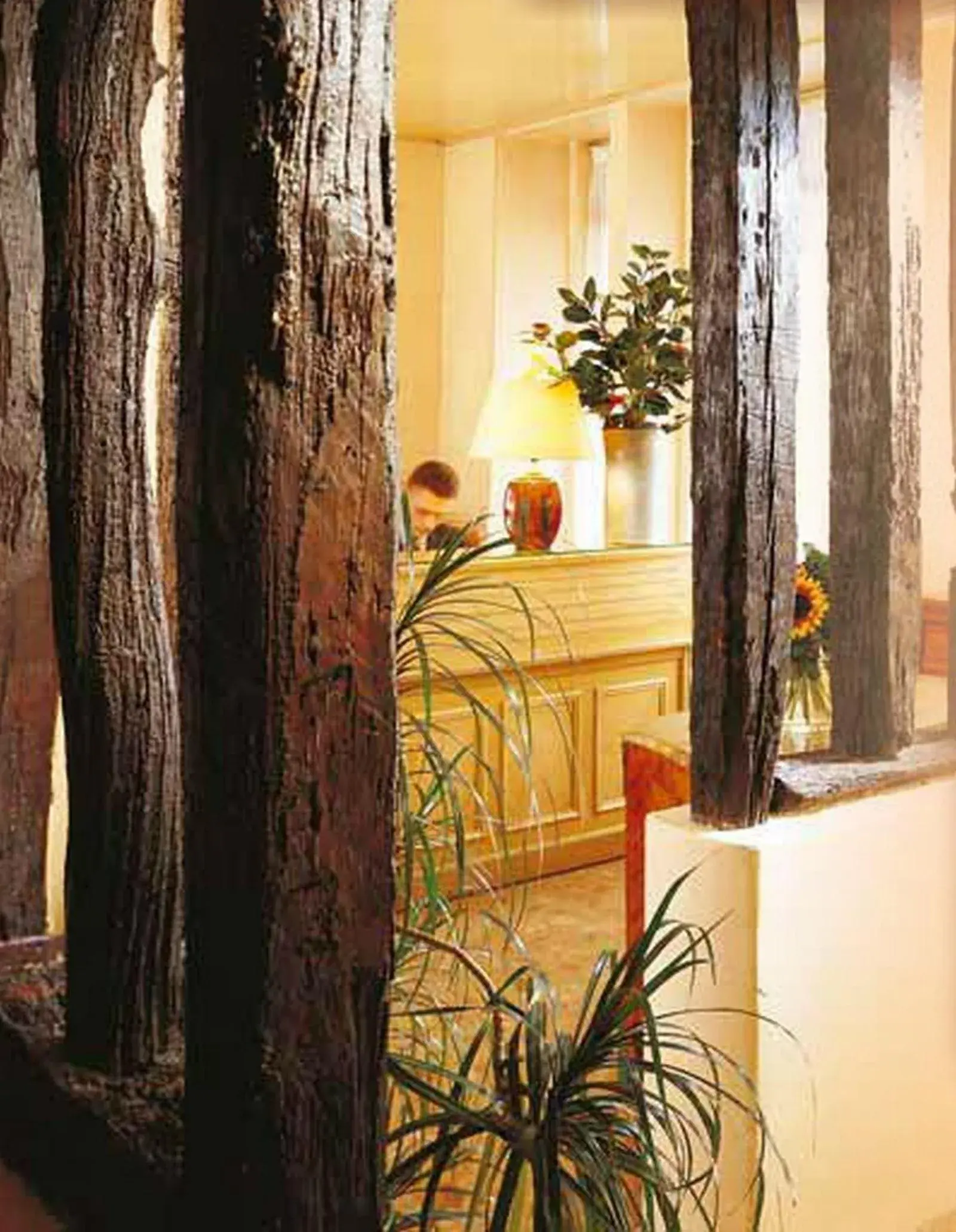 Lobby or reception in Hôtel Saint Roch Lobby or reception in Hôtel Saint Roch