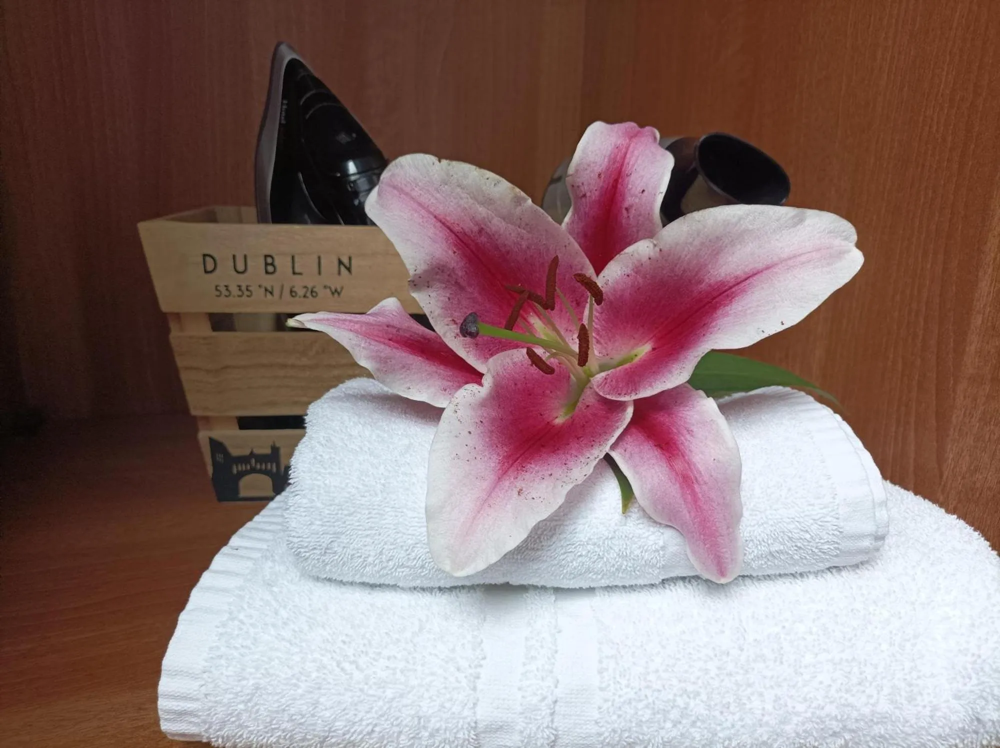 Tom Dick and Harriet's Accommodation