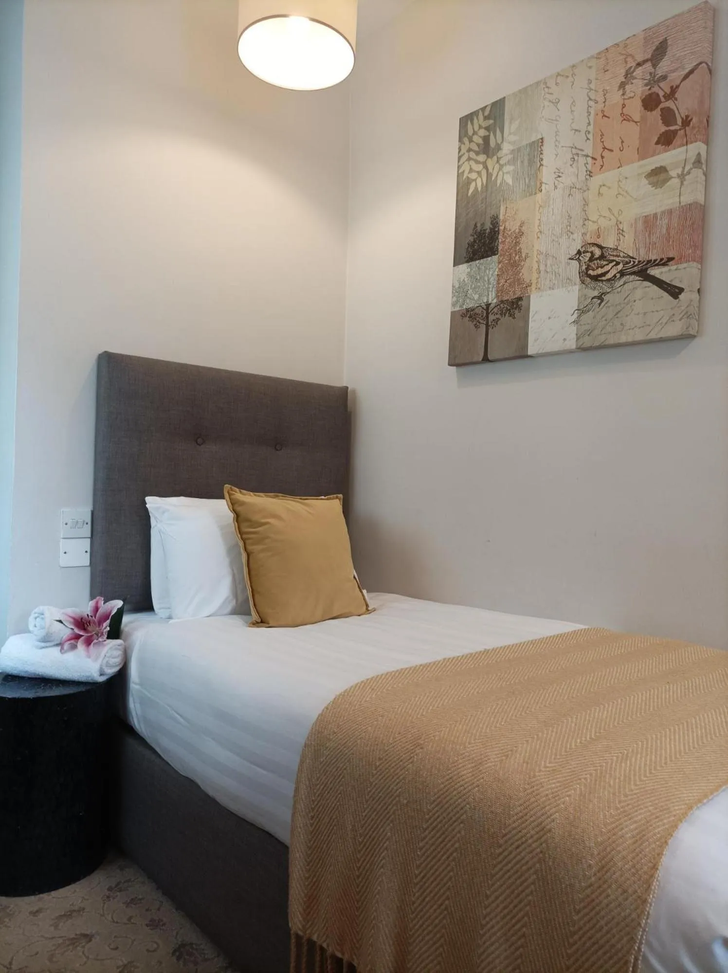 Bed in Tom Dick and Harriet's Accommodation