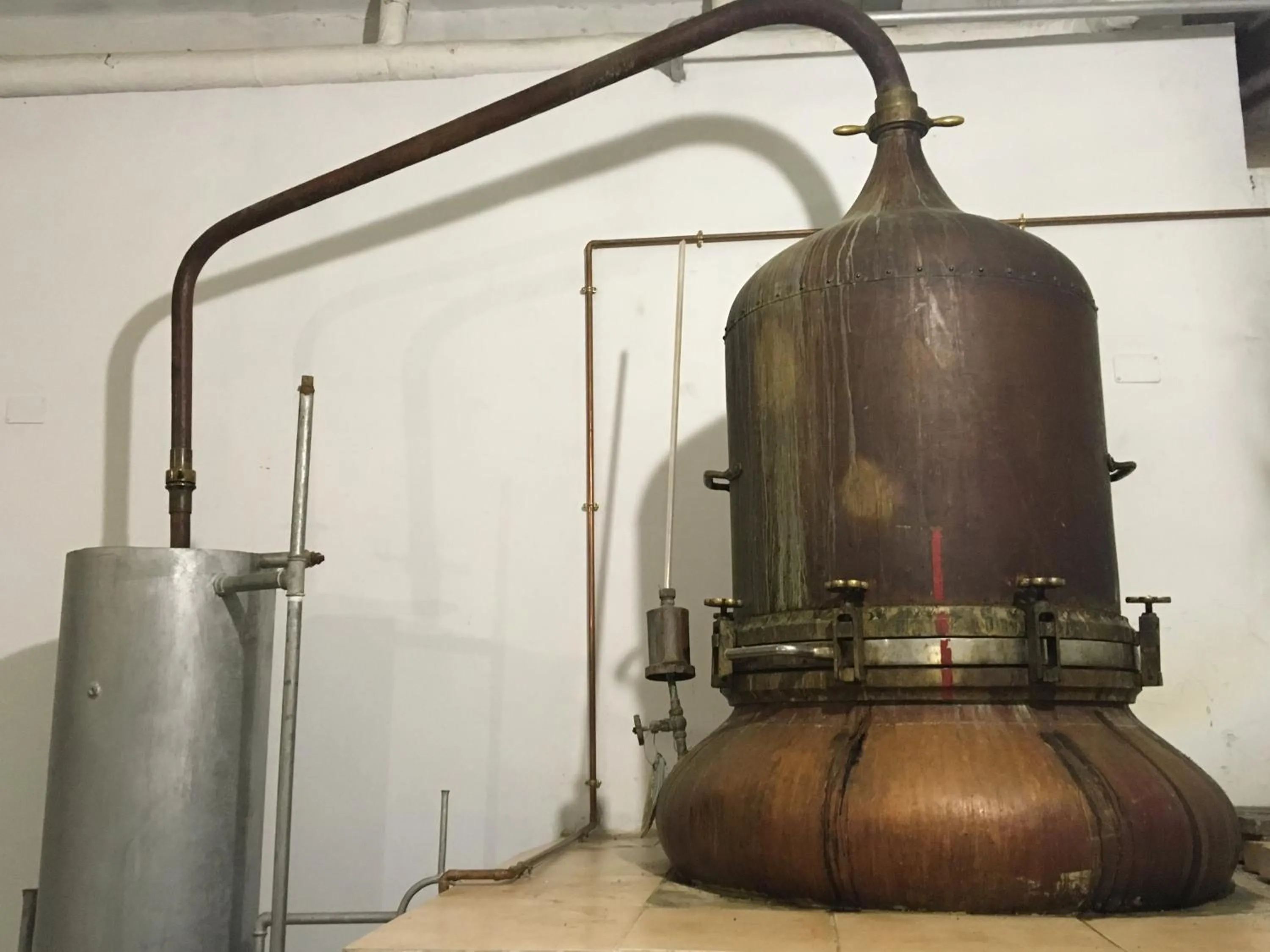 Area and facilities in MONASTERIO de SANTA MARÍA DE VALVANERA