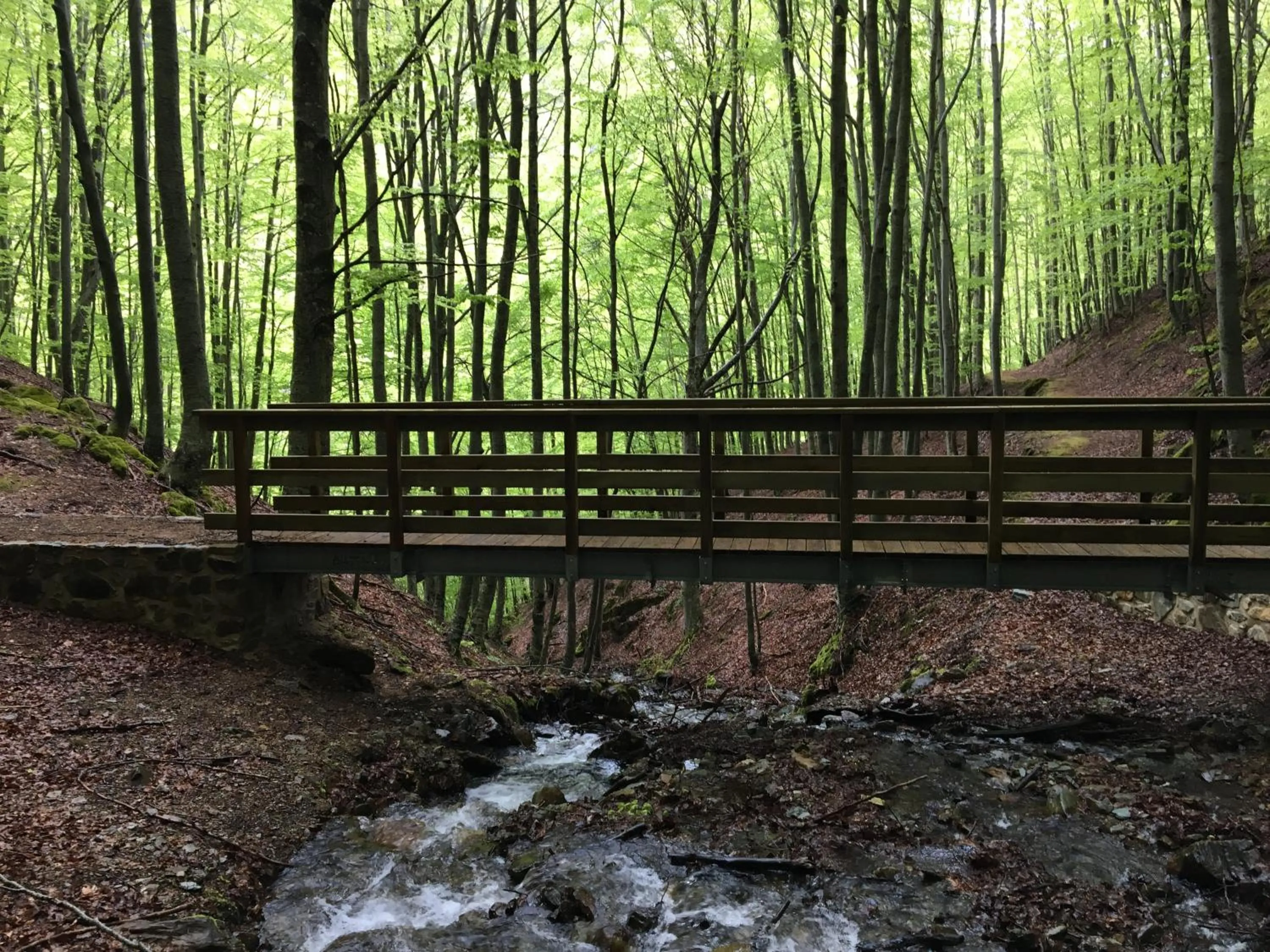 Hiking in MONASTERIO de SANTA MARÍA DE VALVANERA