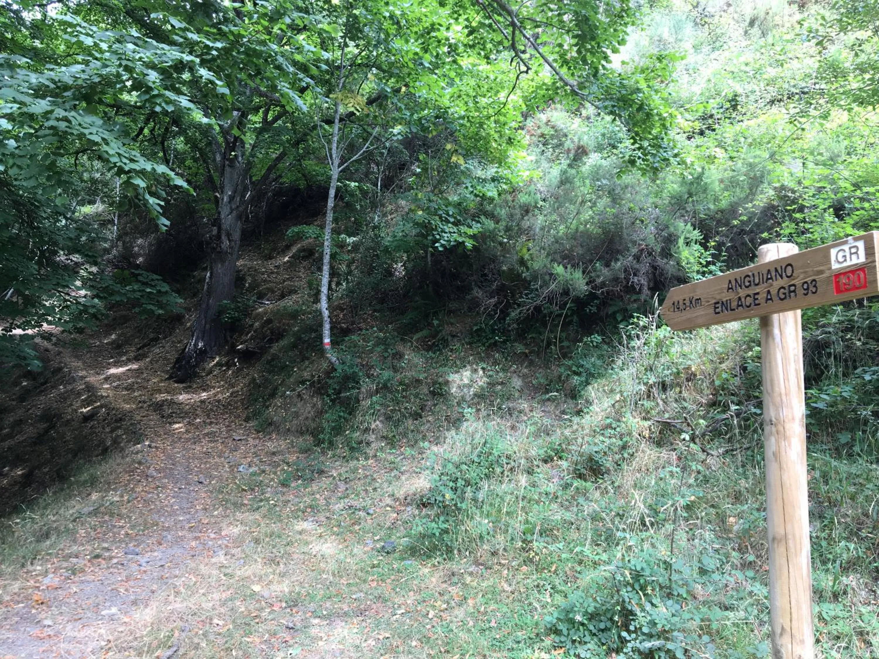 MONASTERIO de SANTA MARÍA DE VALVANERA