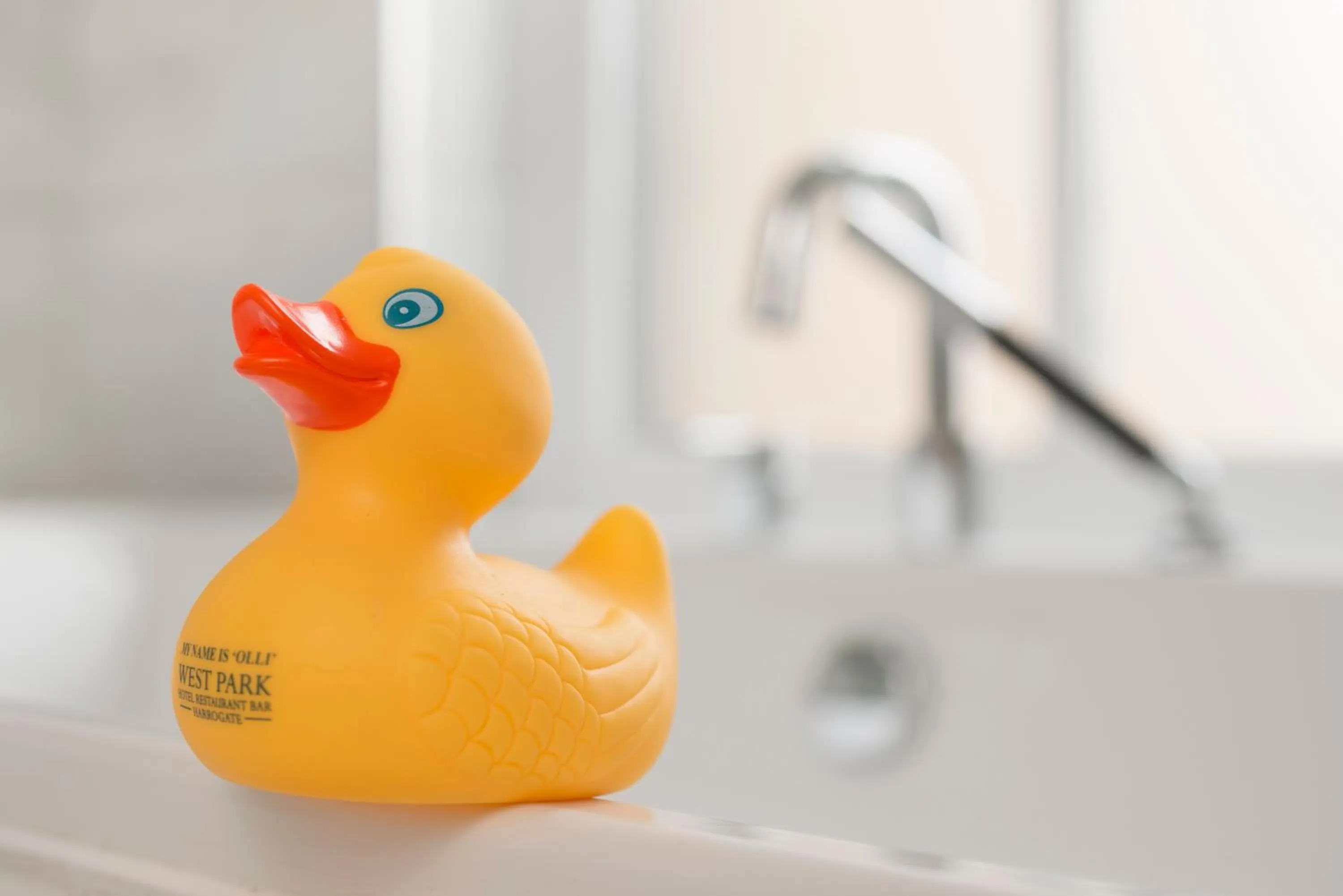 Bathroom in The West Park Hotel
