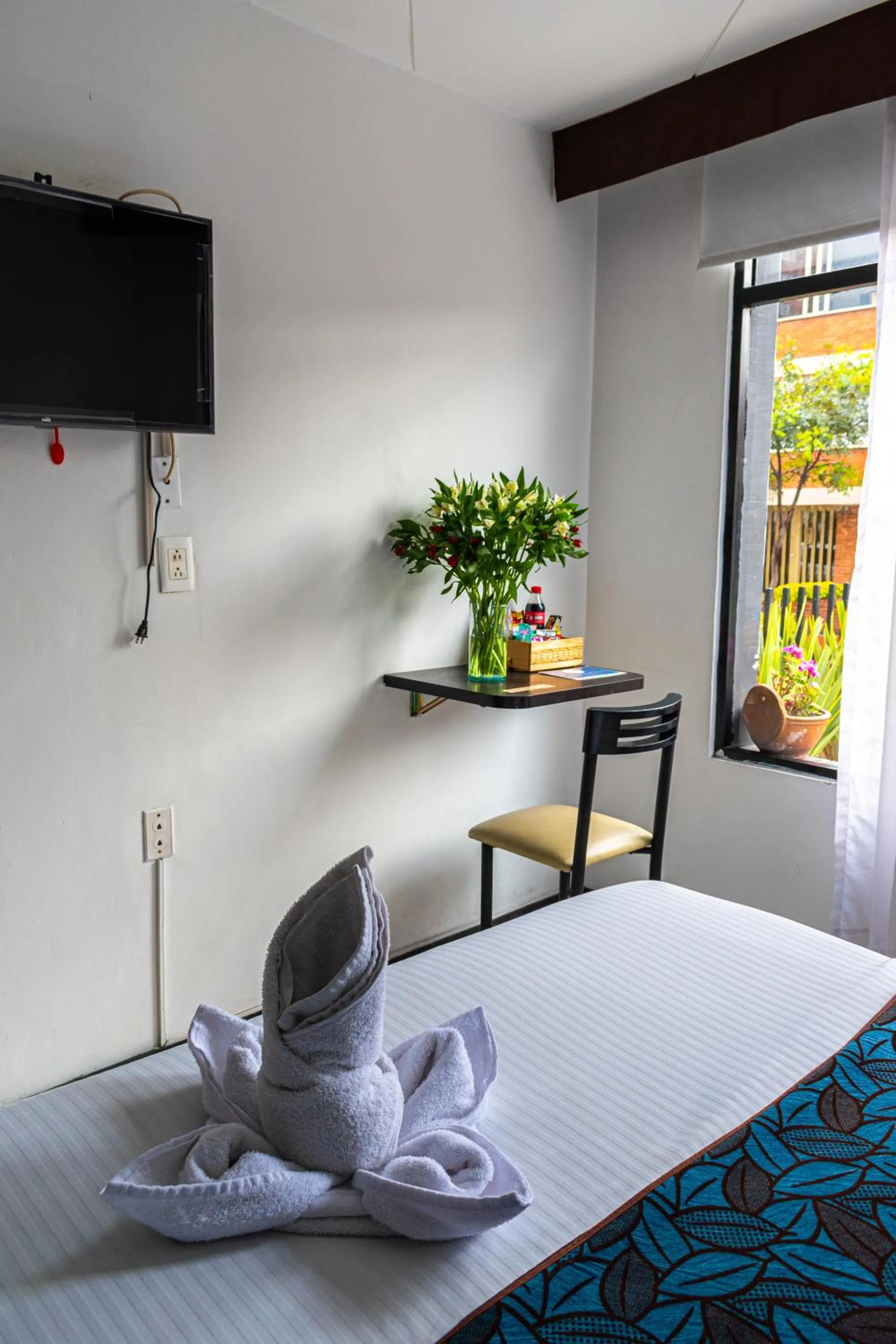 TV and multimedia, Bed in Hotel Central House a 5 min de la Embajada Americana