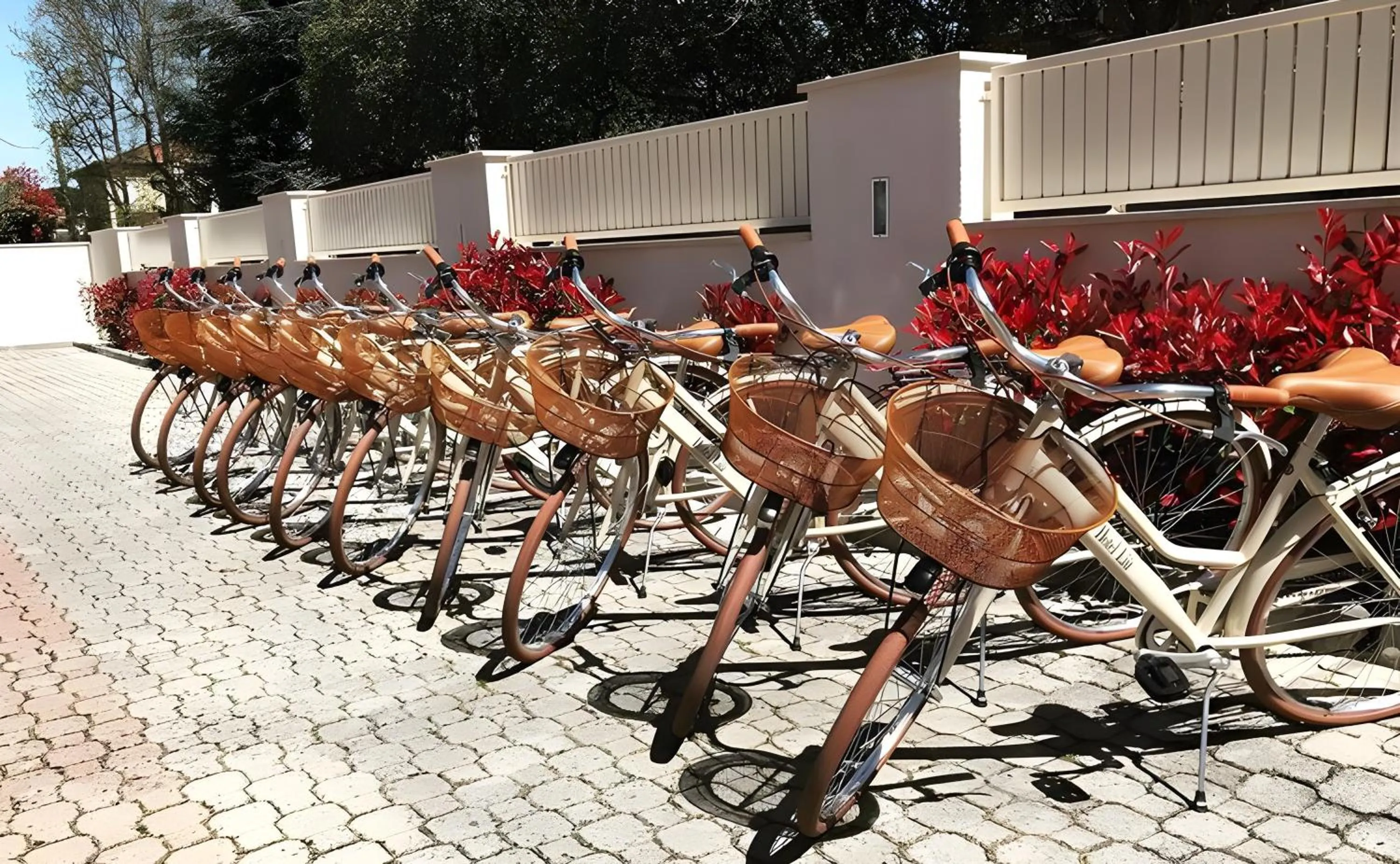 Cycling in Hotel Liu