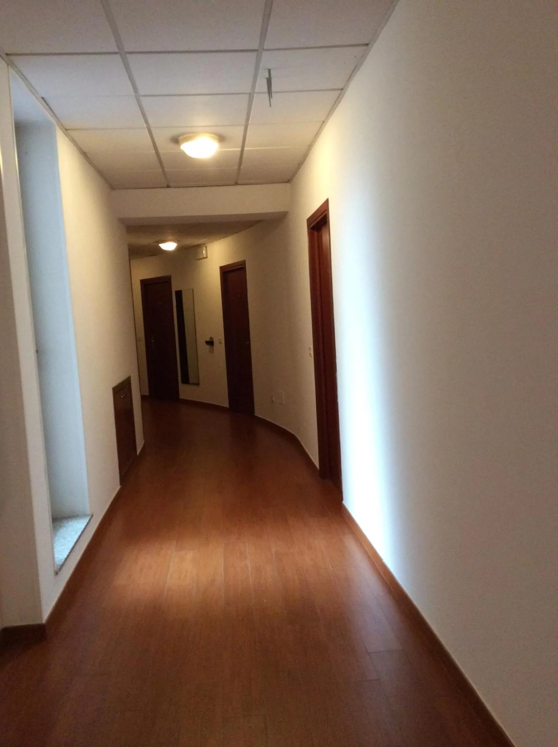 Area and facilities in Hotel San Marco