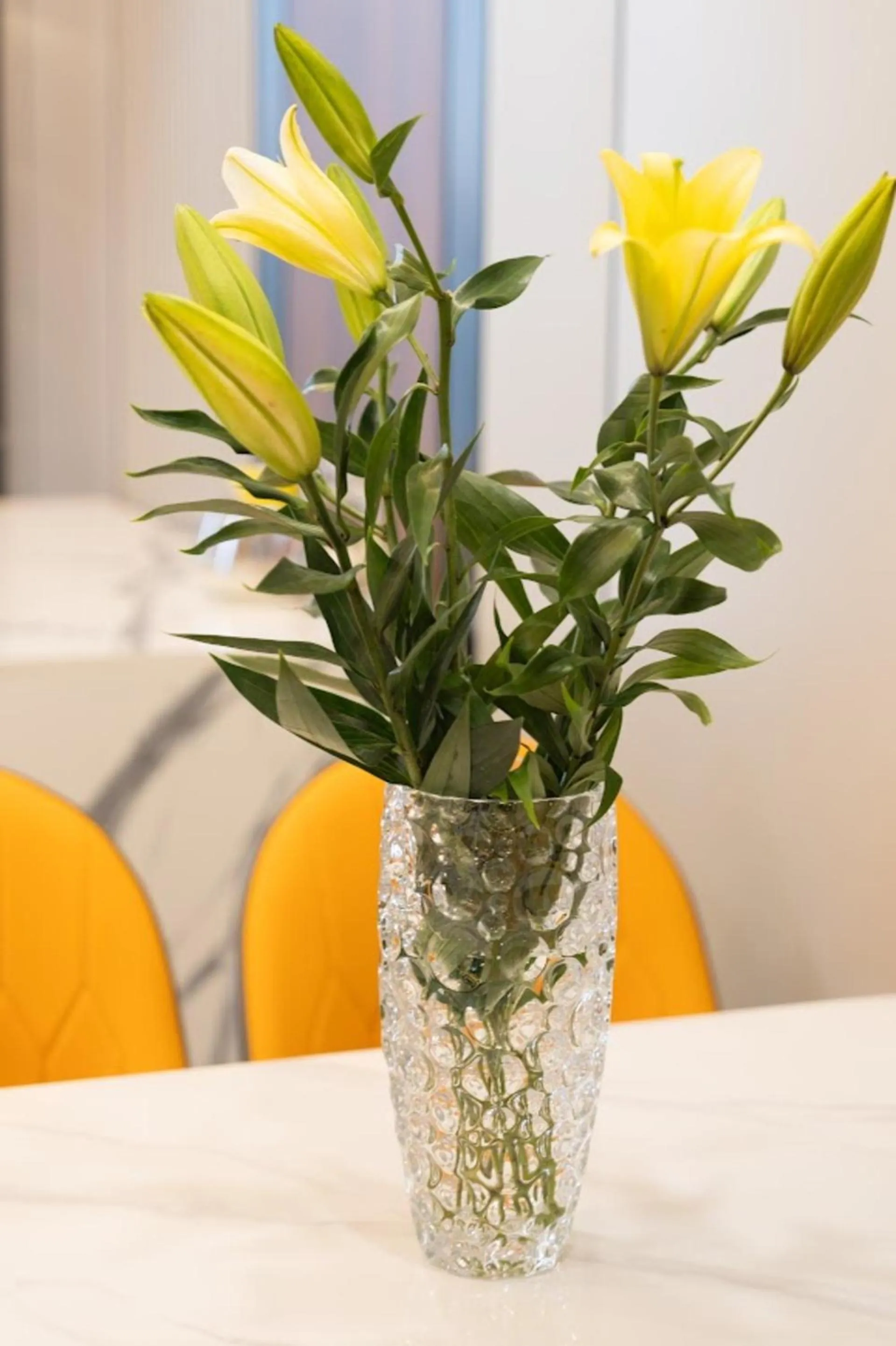 Property building in Dalat Center Residence