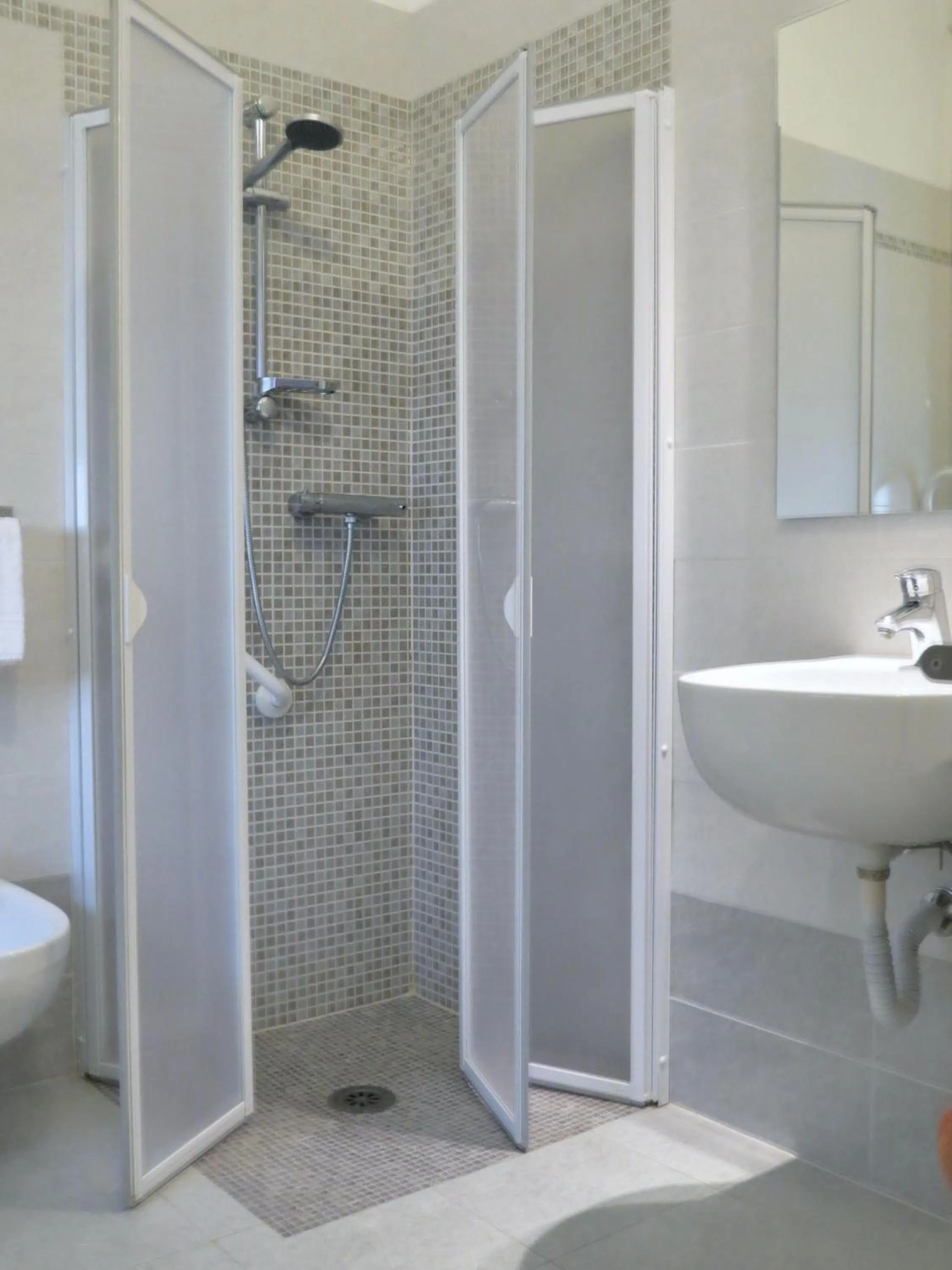 Shower in Hotel Biagi & Residence