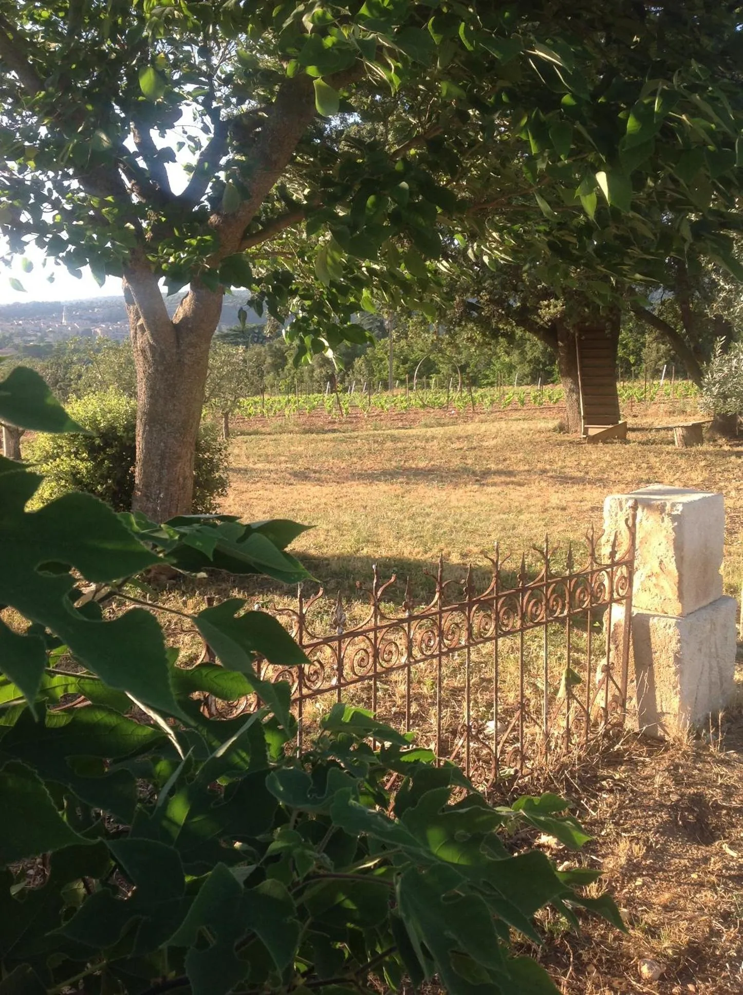 Garden in Le Vieux Portail