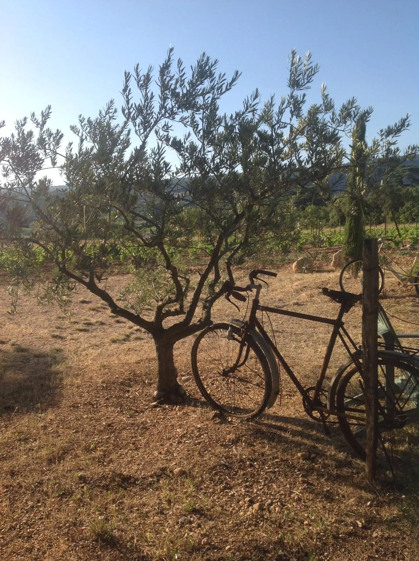 Garden in Le Vieux Portail