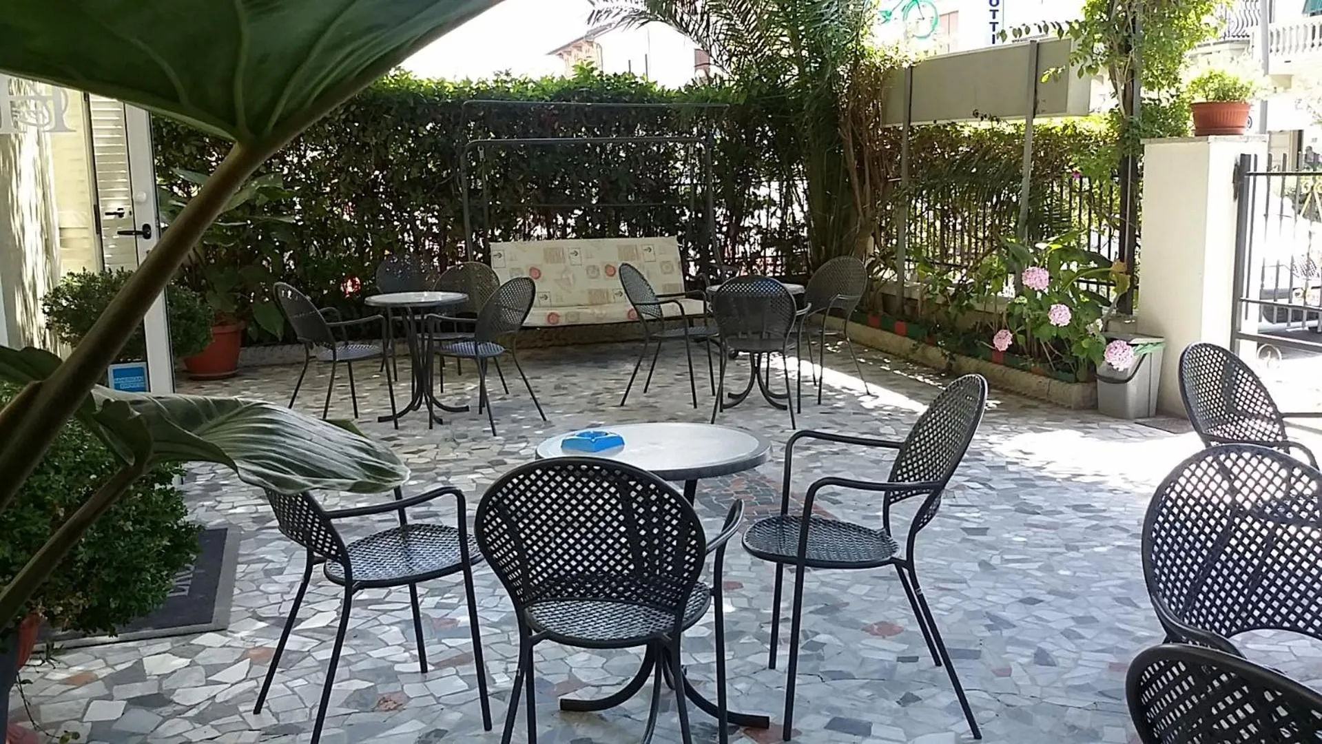 Garden in Hotel Eros