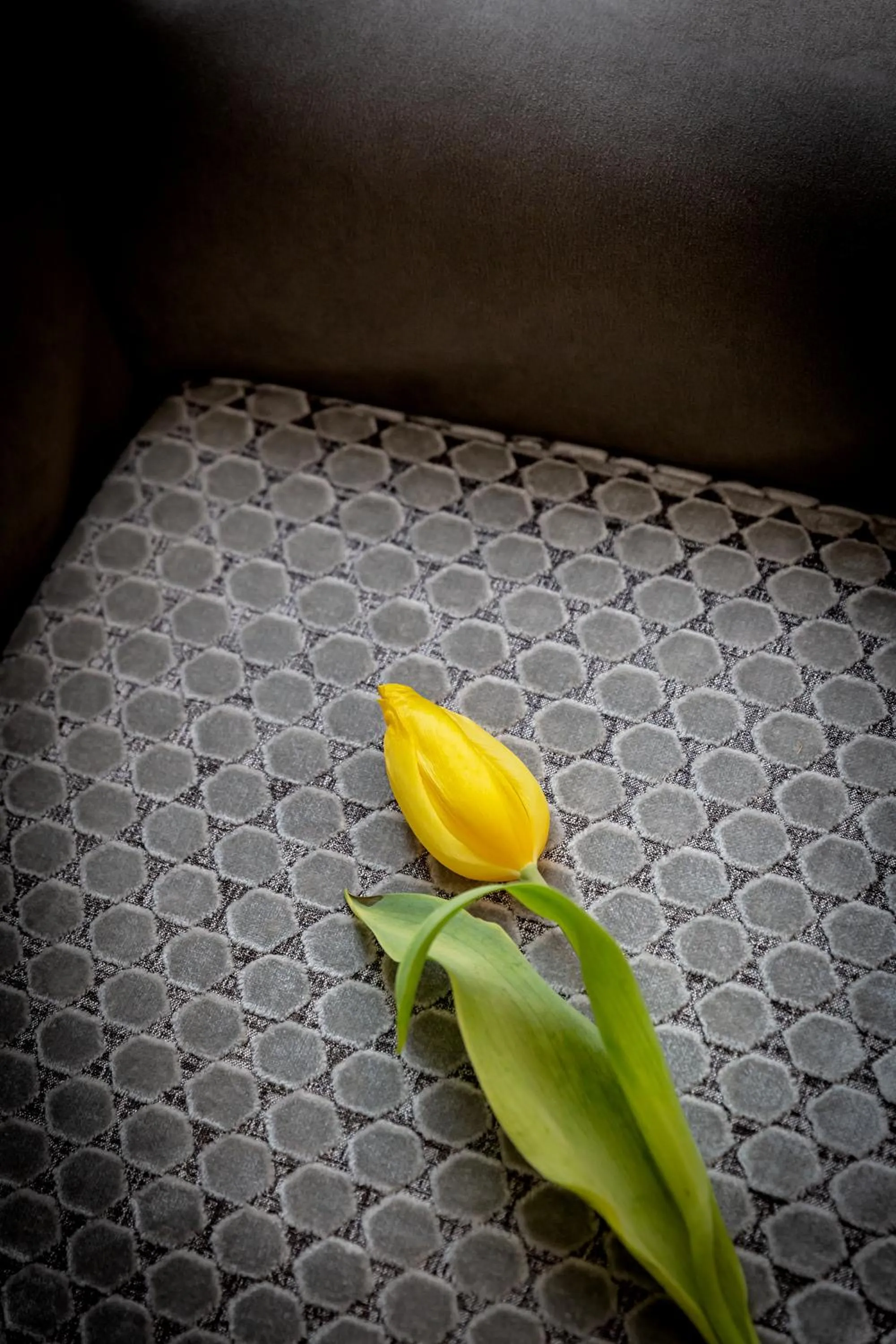 Decorative detail, Bed in La Madernassa Resort - Casalora Dimora Storica di Charme