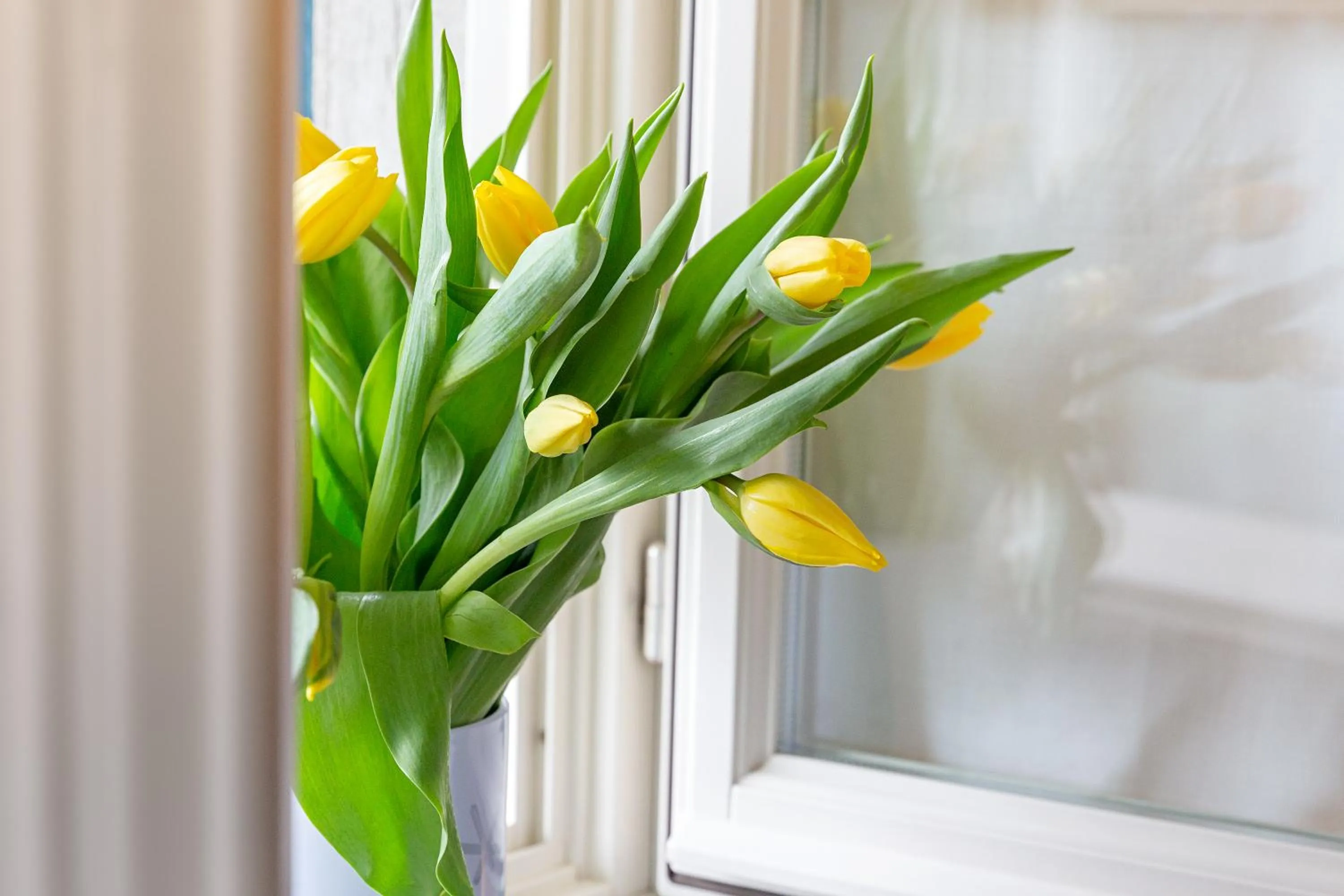 Decorative detail in La Madernassa Resort - Casalora Dimora Storica di Charme