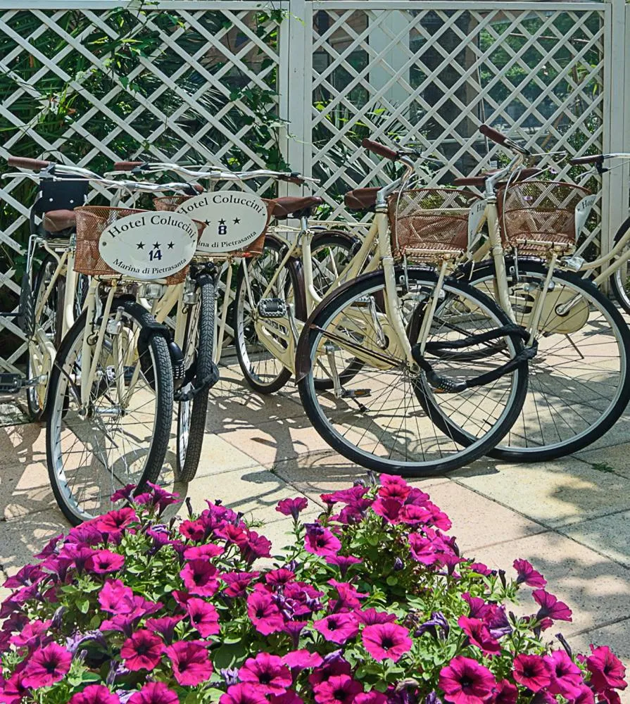 Property building in Hotel Coluccini