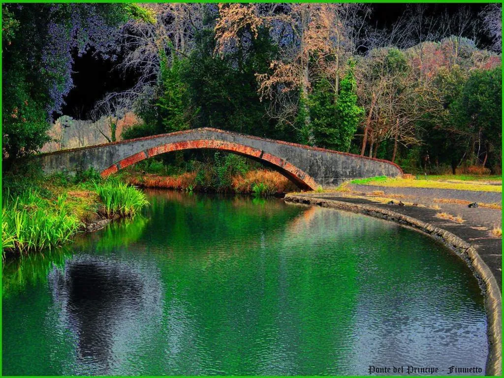Landmark view in Hotel Coluccini