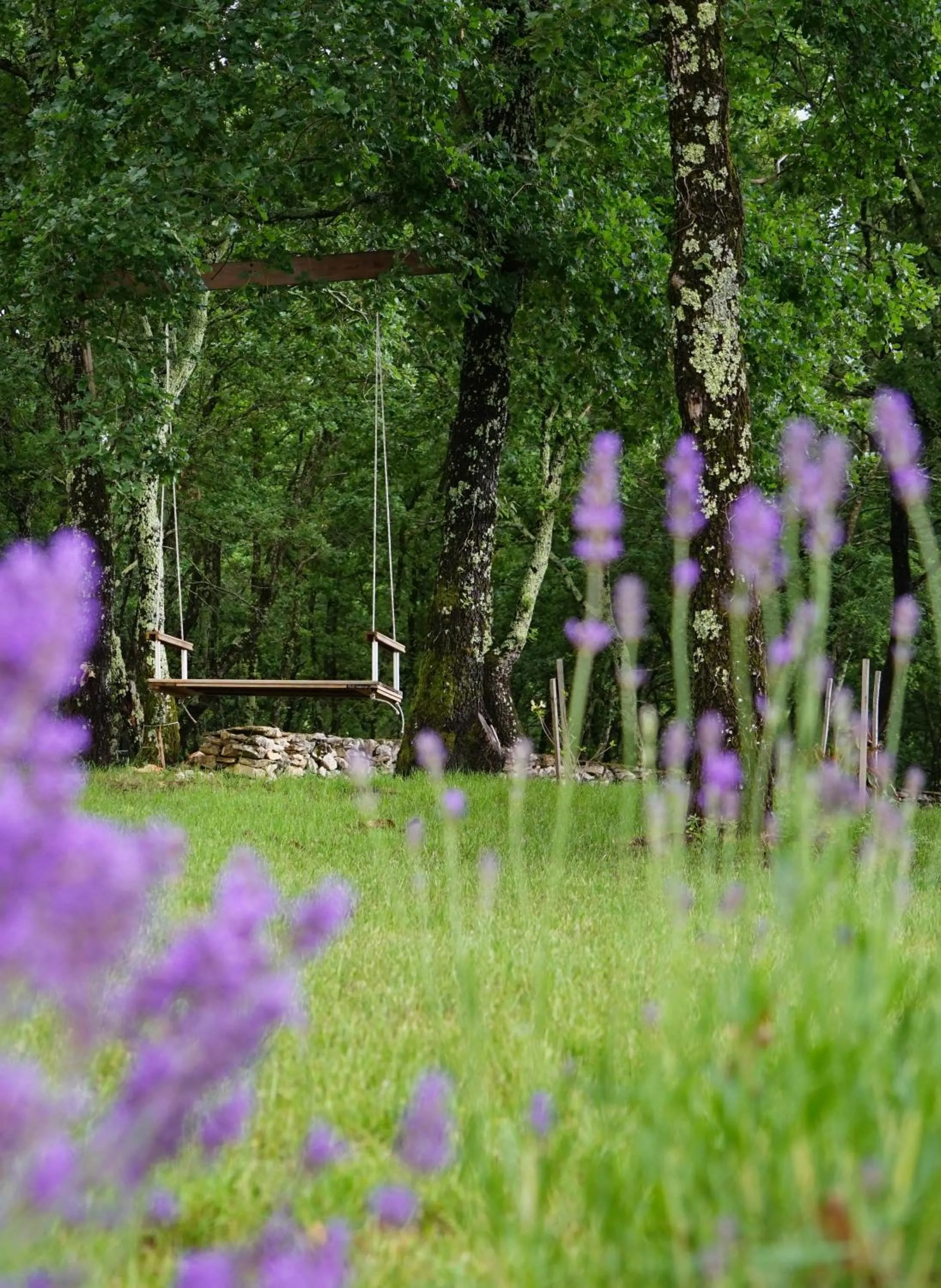 Activities in Rooms Stancija Ruseti