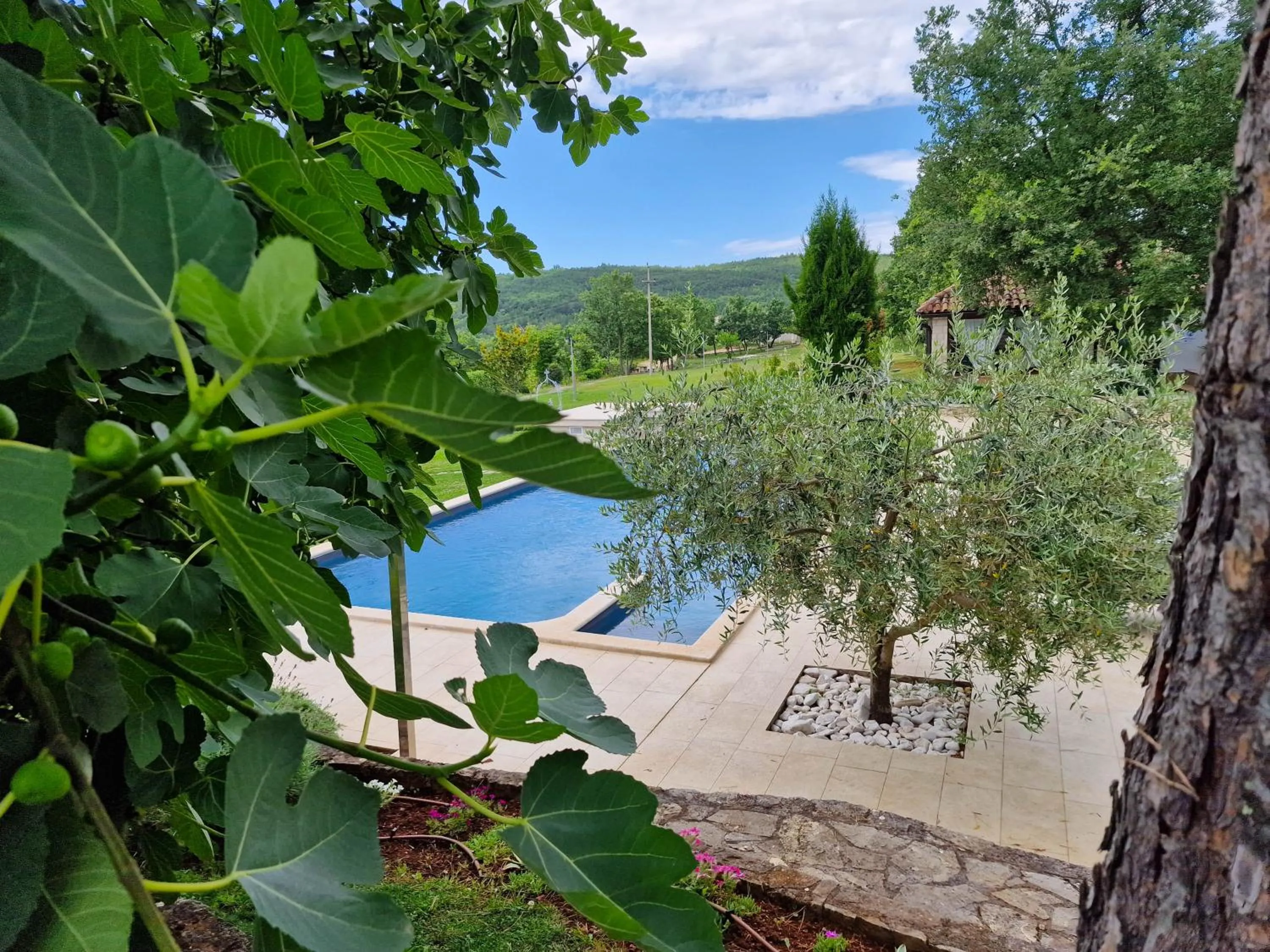 Swimming pool in Rooms Stancija Ruseti