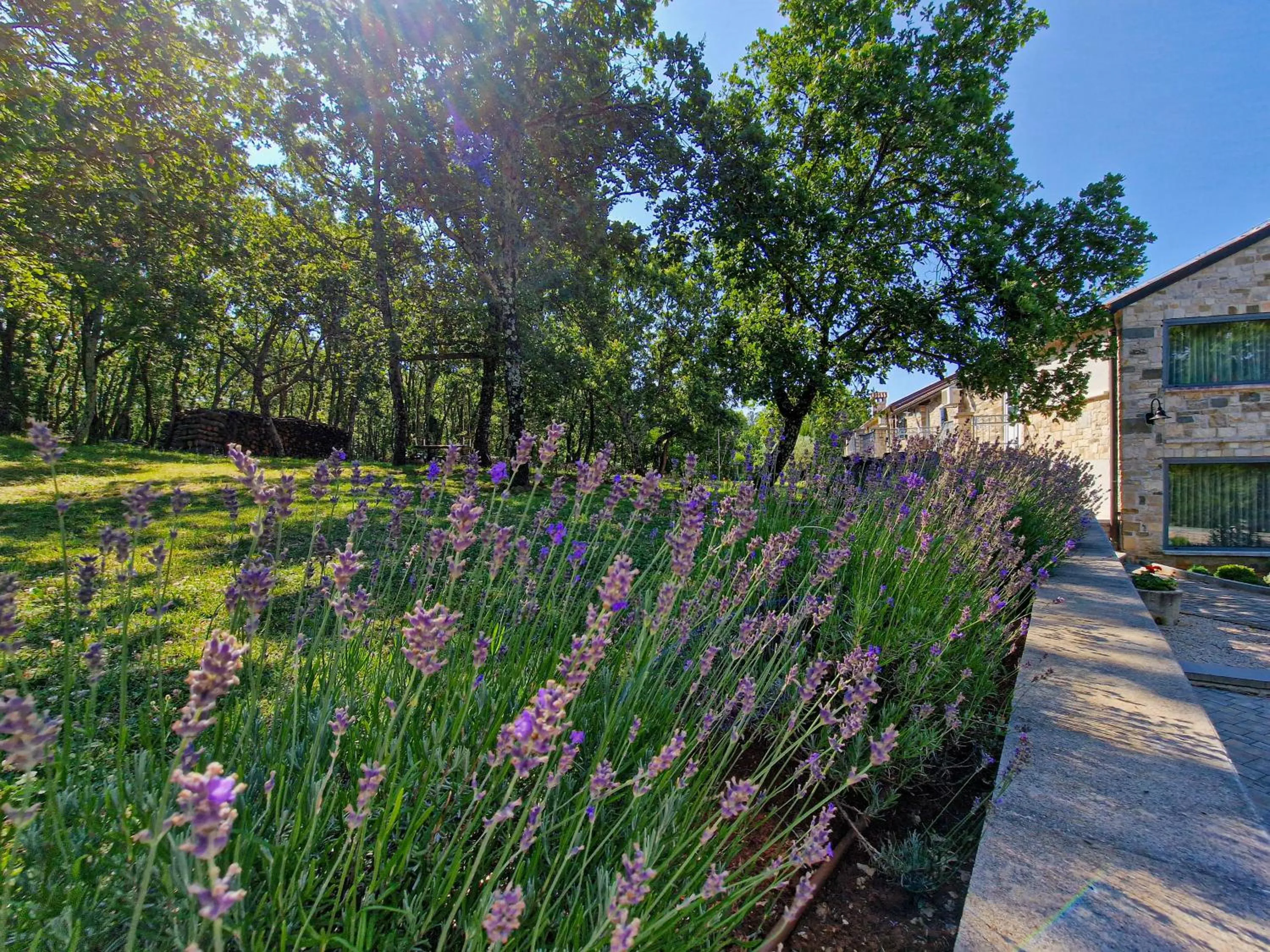 Garden in Rooms Stancija Ruseti