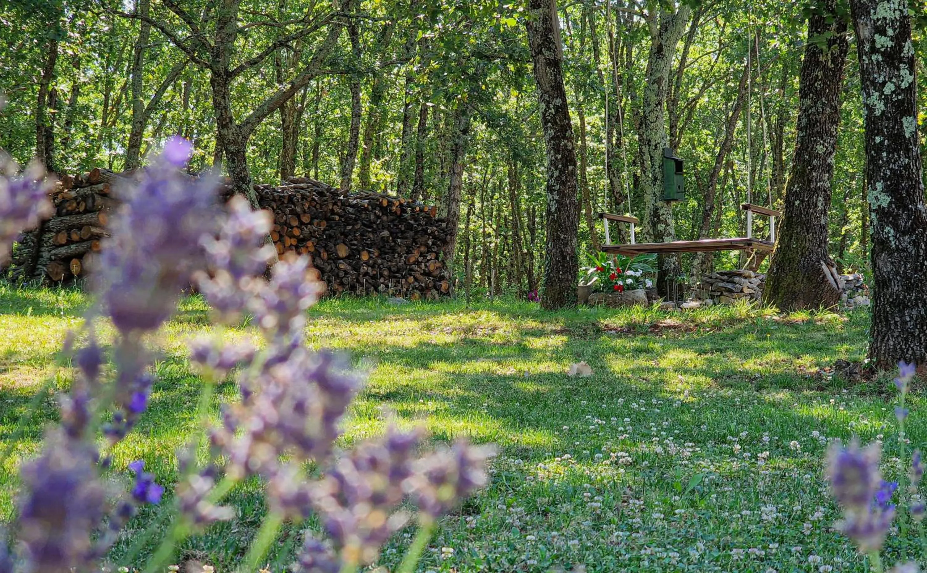 Activities in Rooms Stancija Ruseti