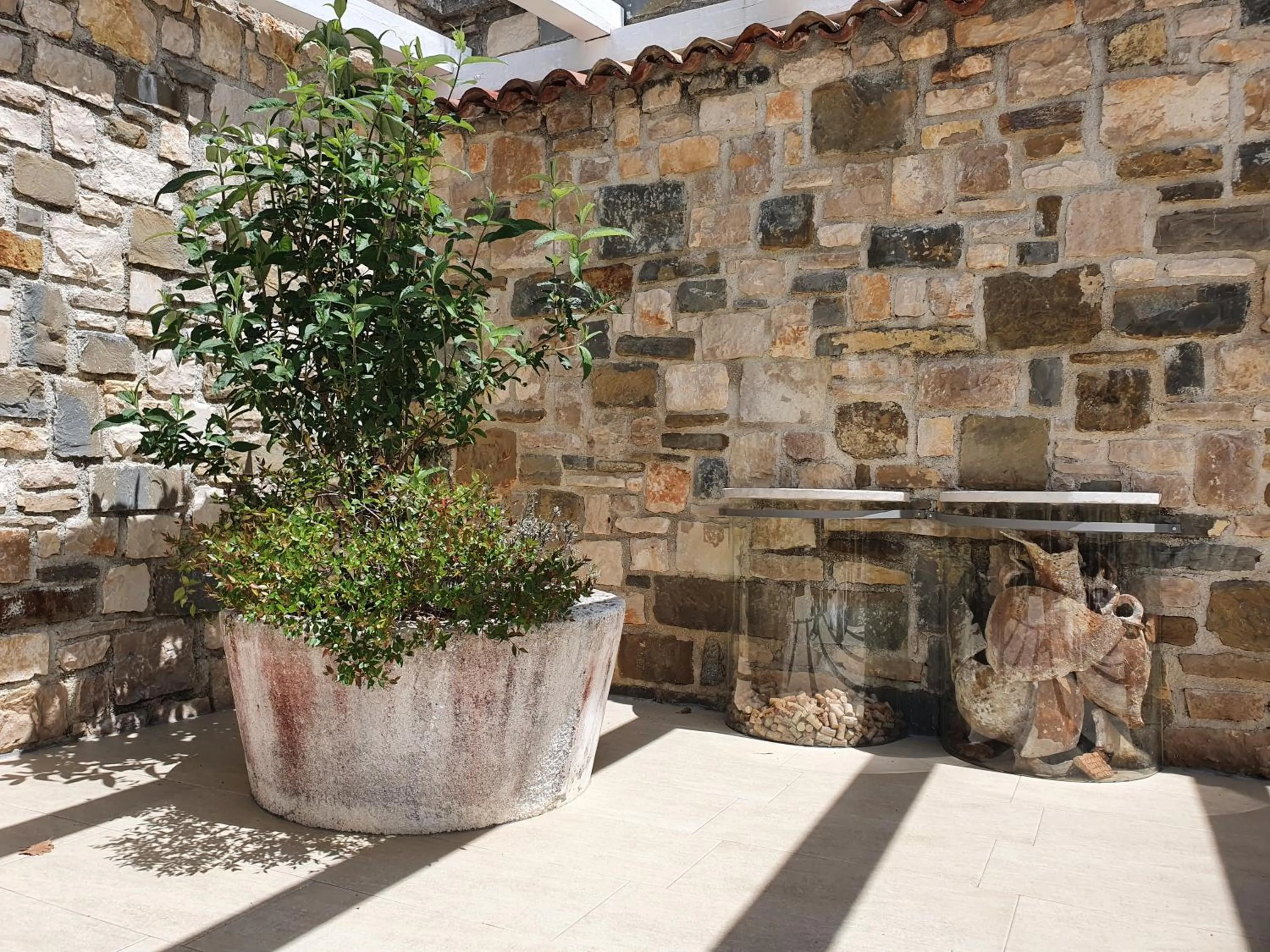 Garden in Rooms Stancija Ruseti