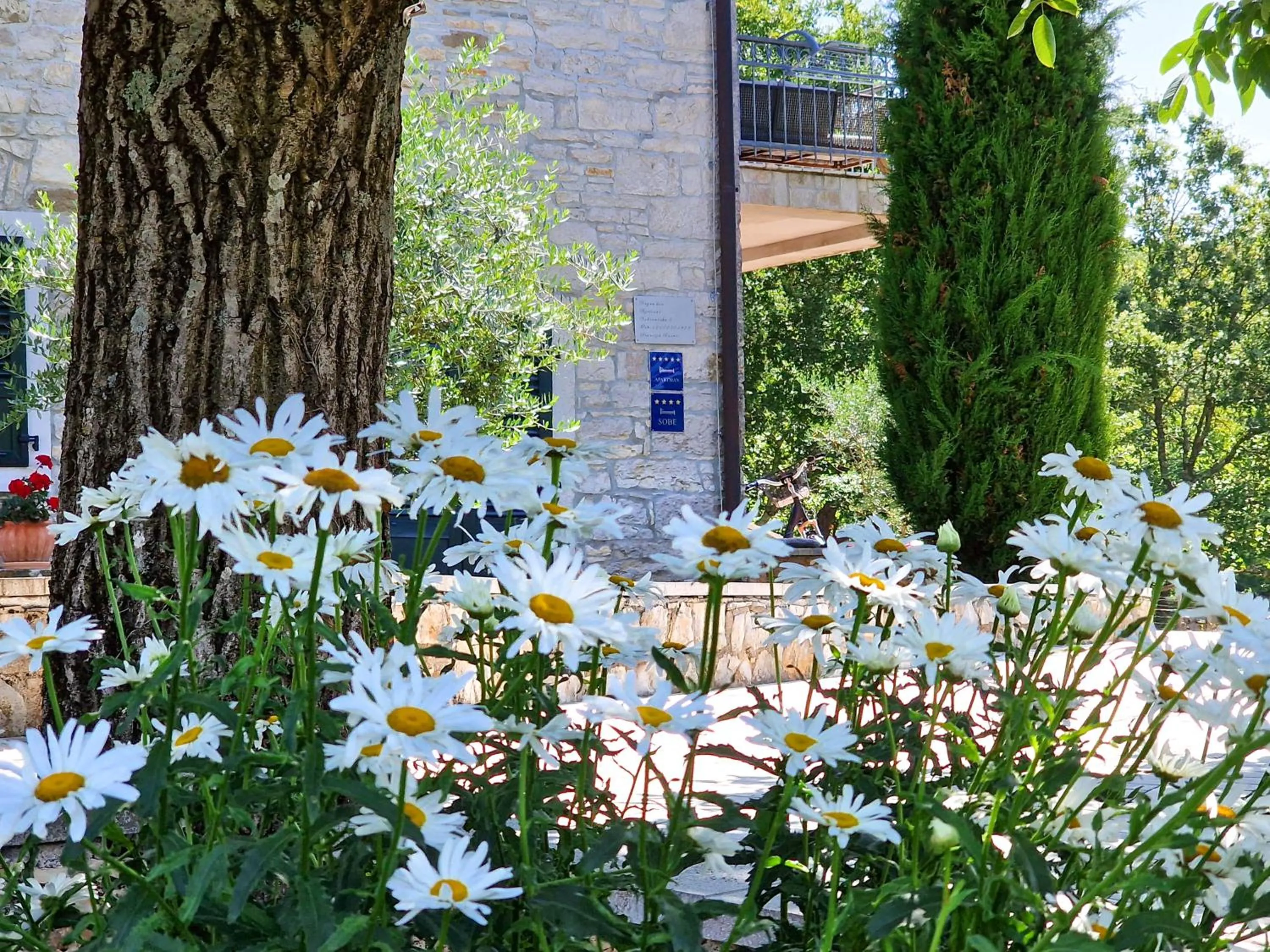 Property logo or sign in Rooms Stancija Ruseti