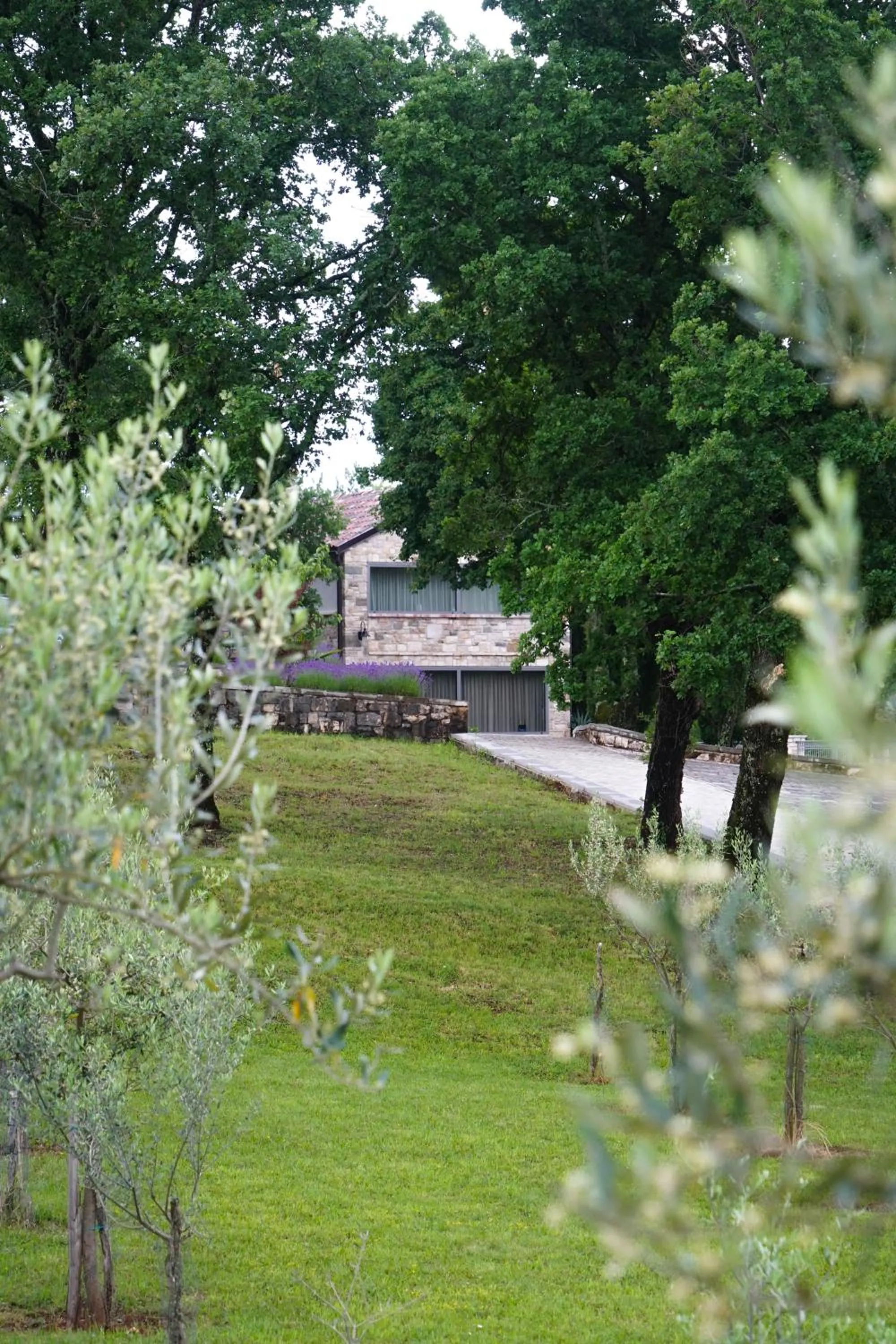 Garden in Rooms Stancija Ruseti