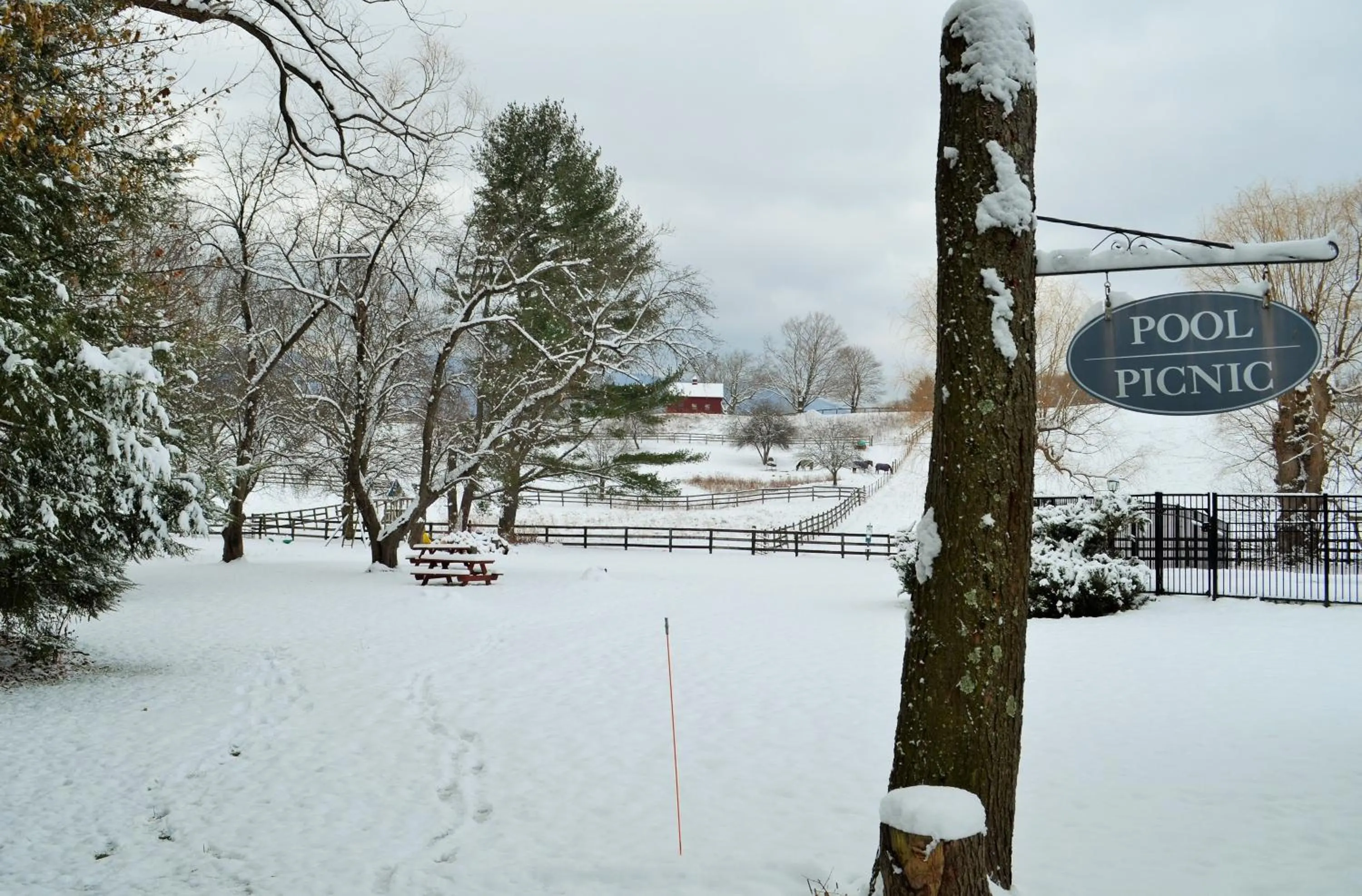 Winter in Maple Terrace Motel