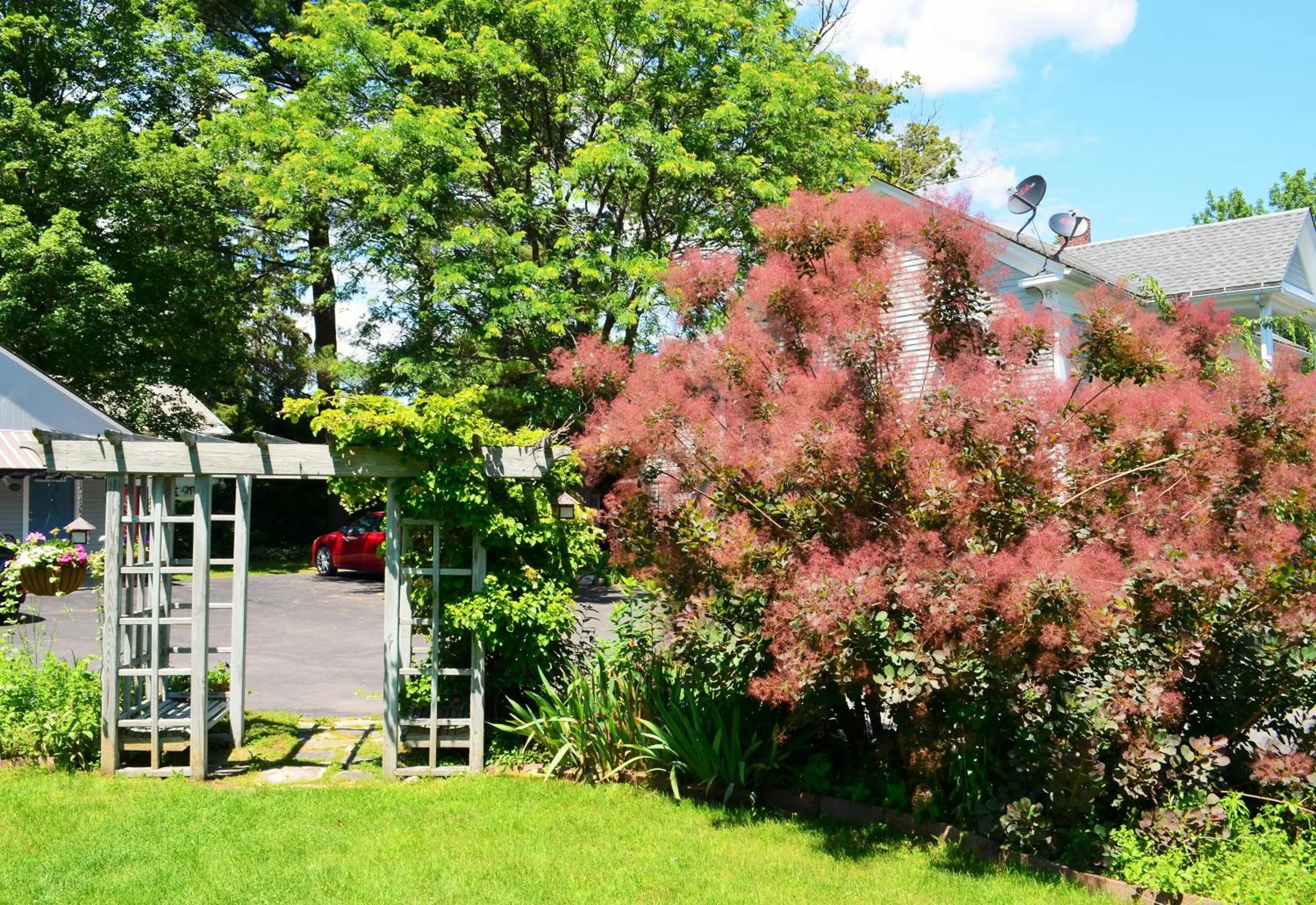 Garden in Maple Terrace Motel