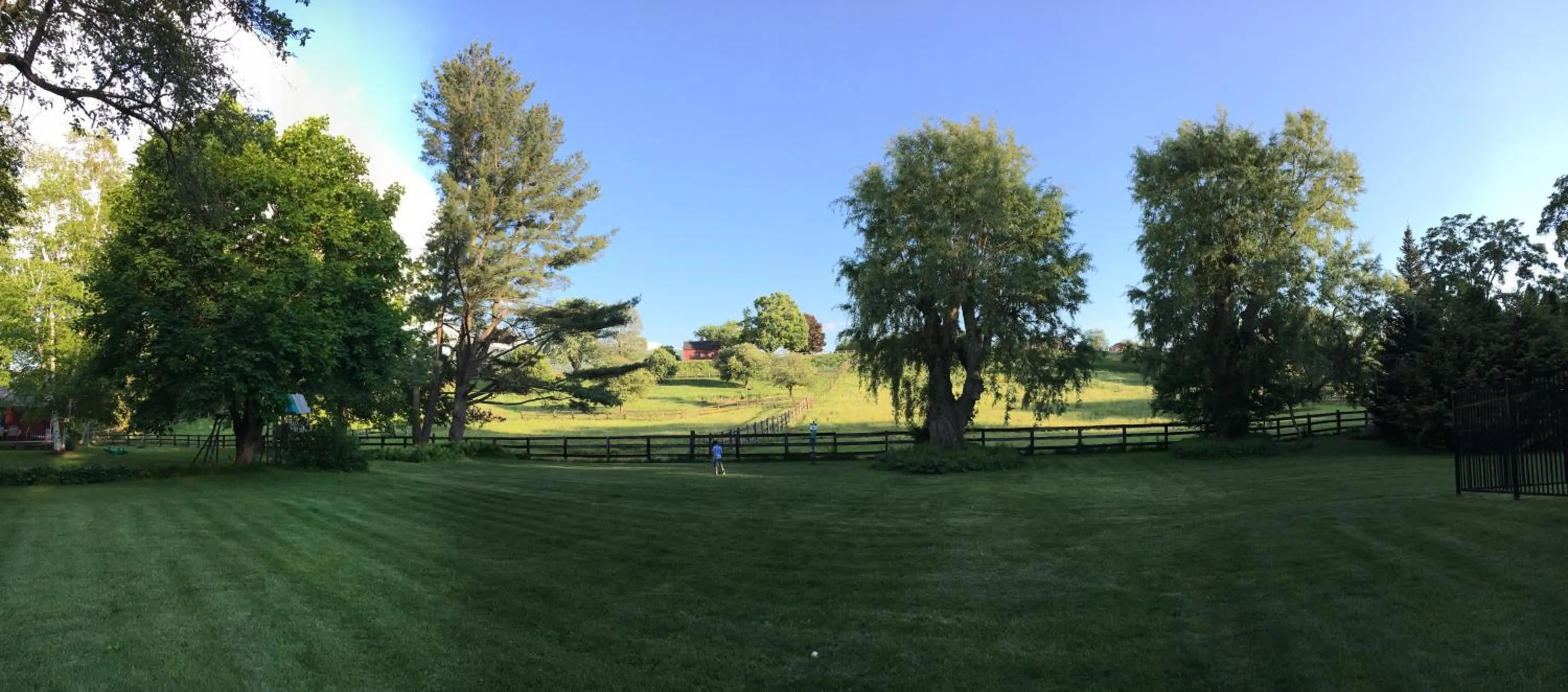 Garden view in Maple Terrace Motel