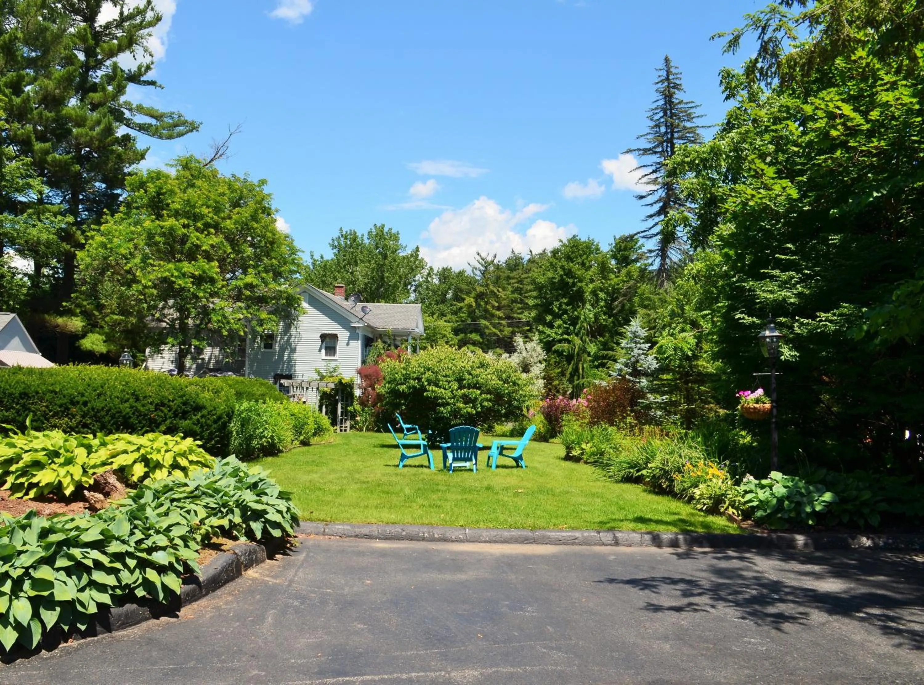 Garden view in Maple Terrace Motel